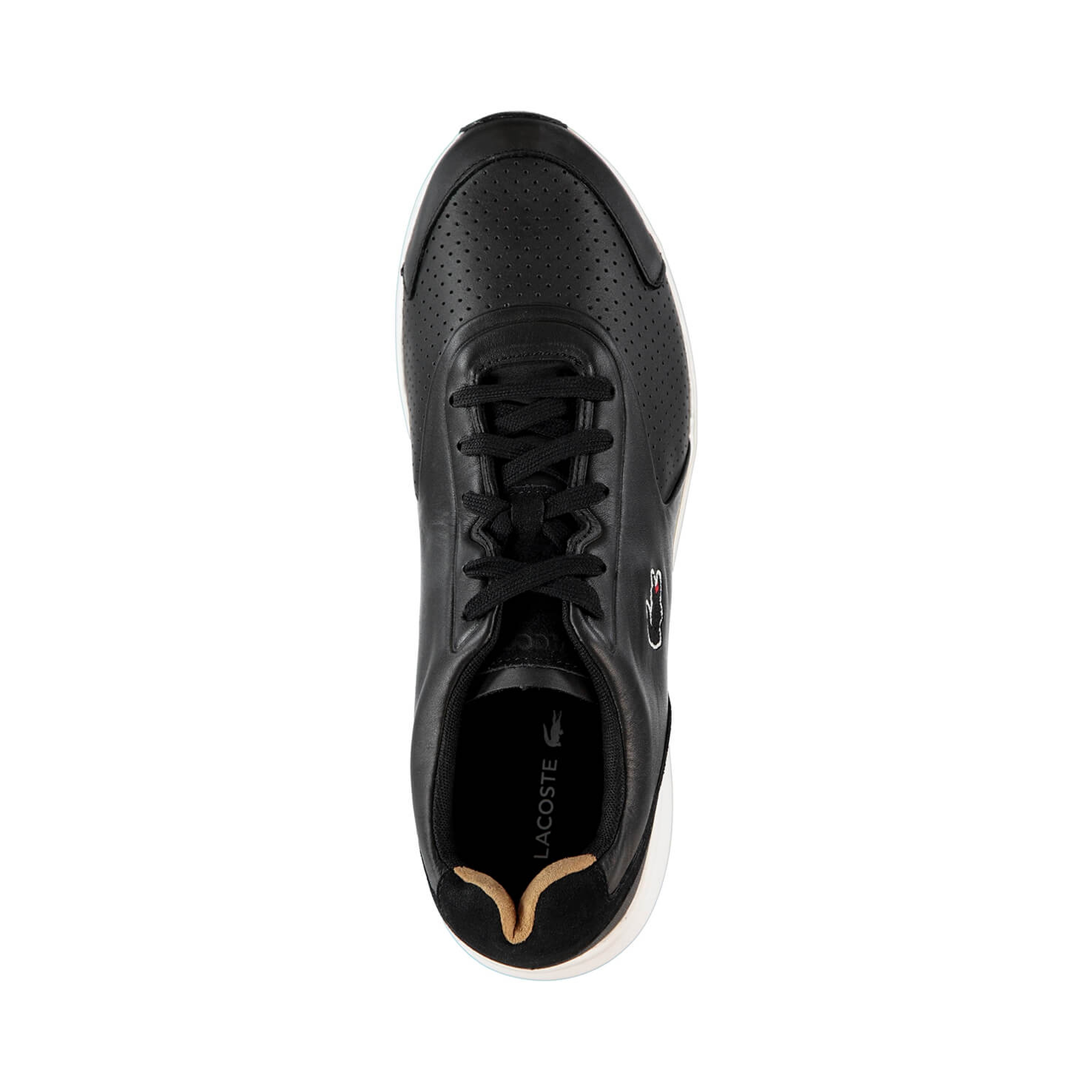 Lacoste Ltr Siyah Erkek Sneaker