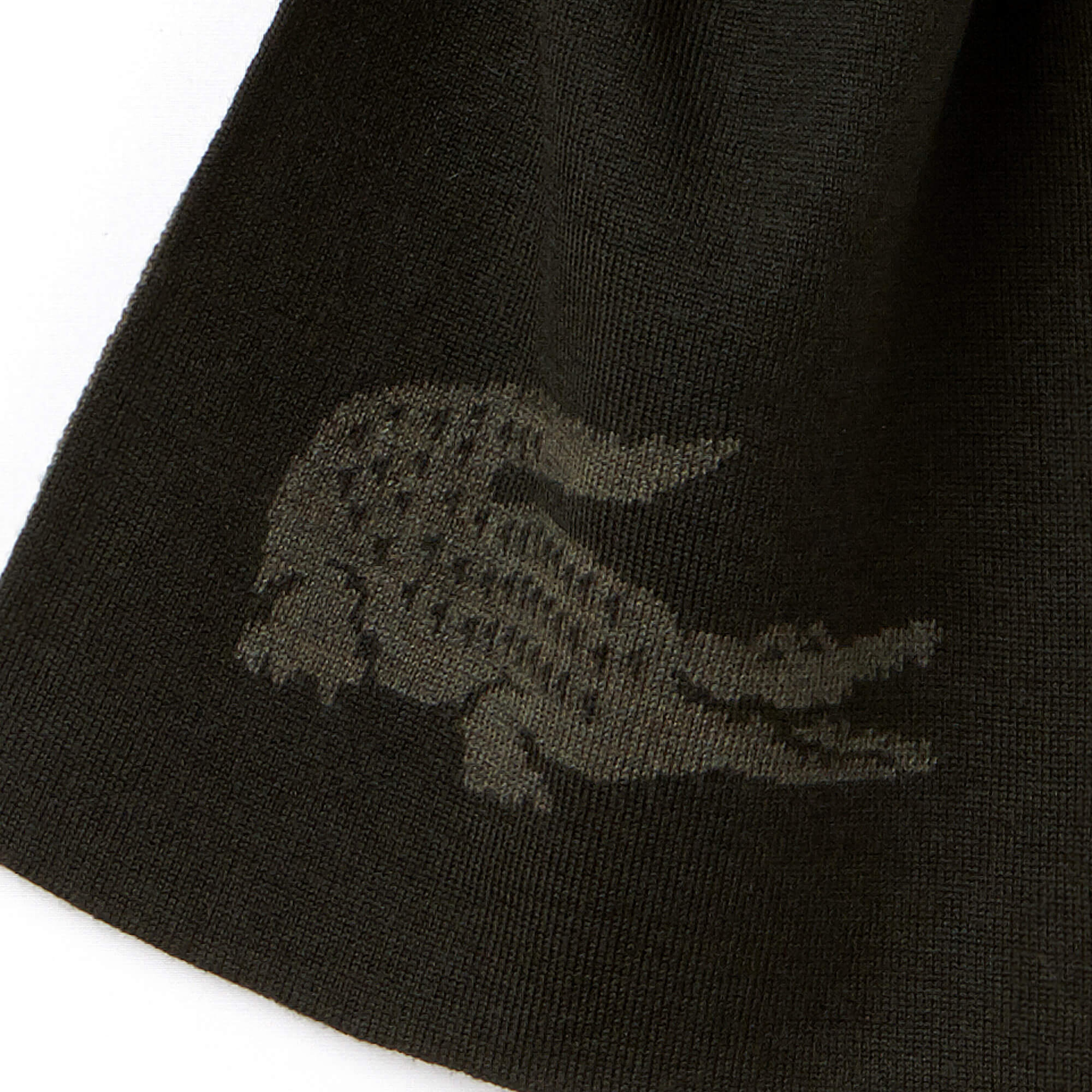 Lacoste Erkek Yeşil Atkı