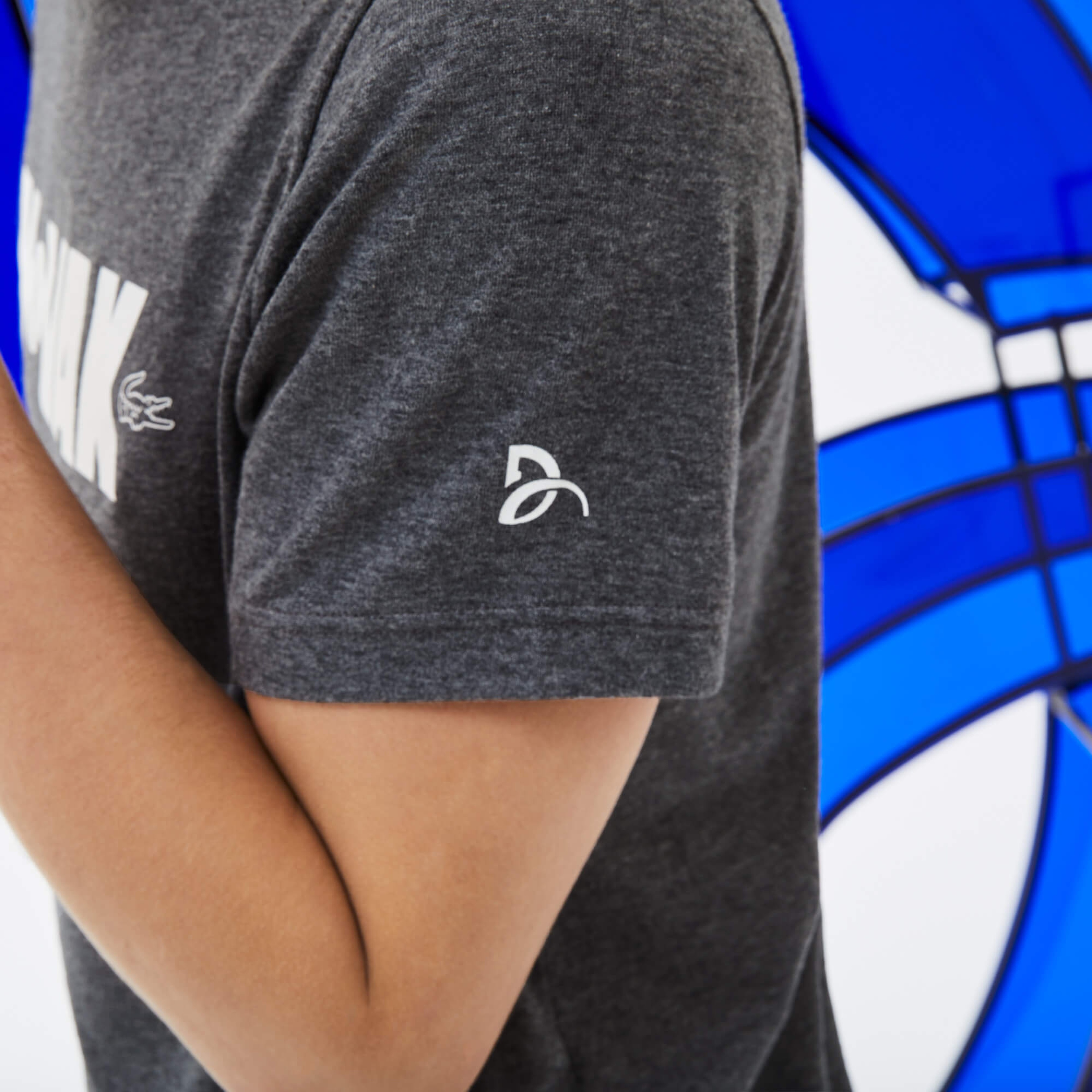 Lacoste Erkek Gri T-Shirt