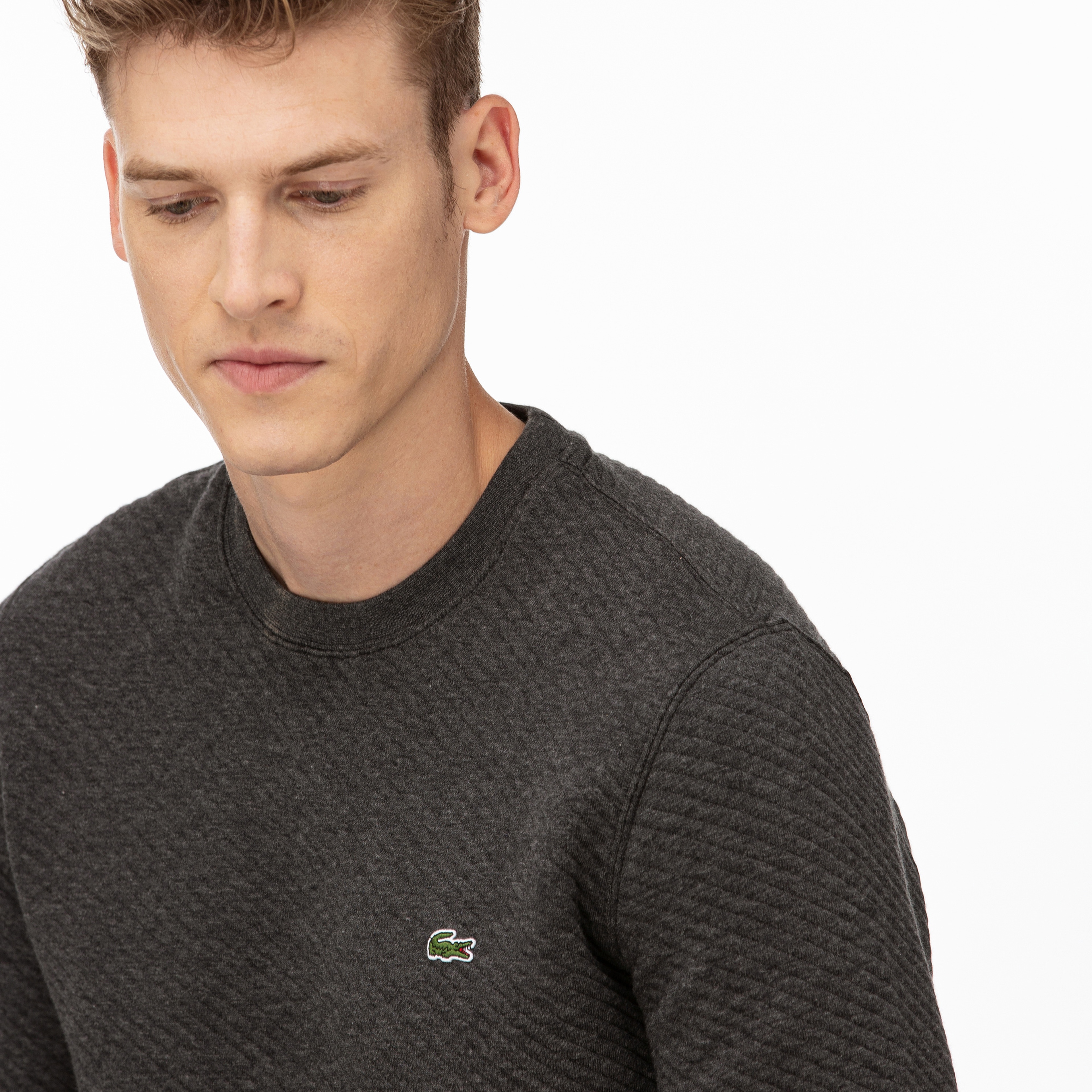 Lacoste Erkek Gri Sweatshirt