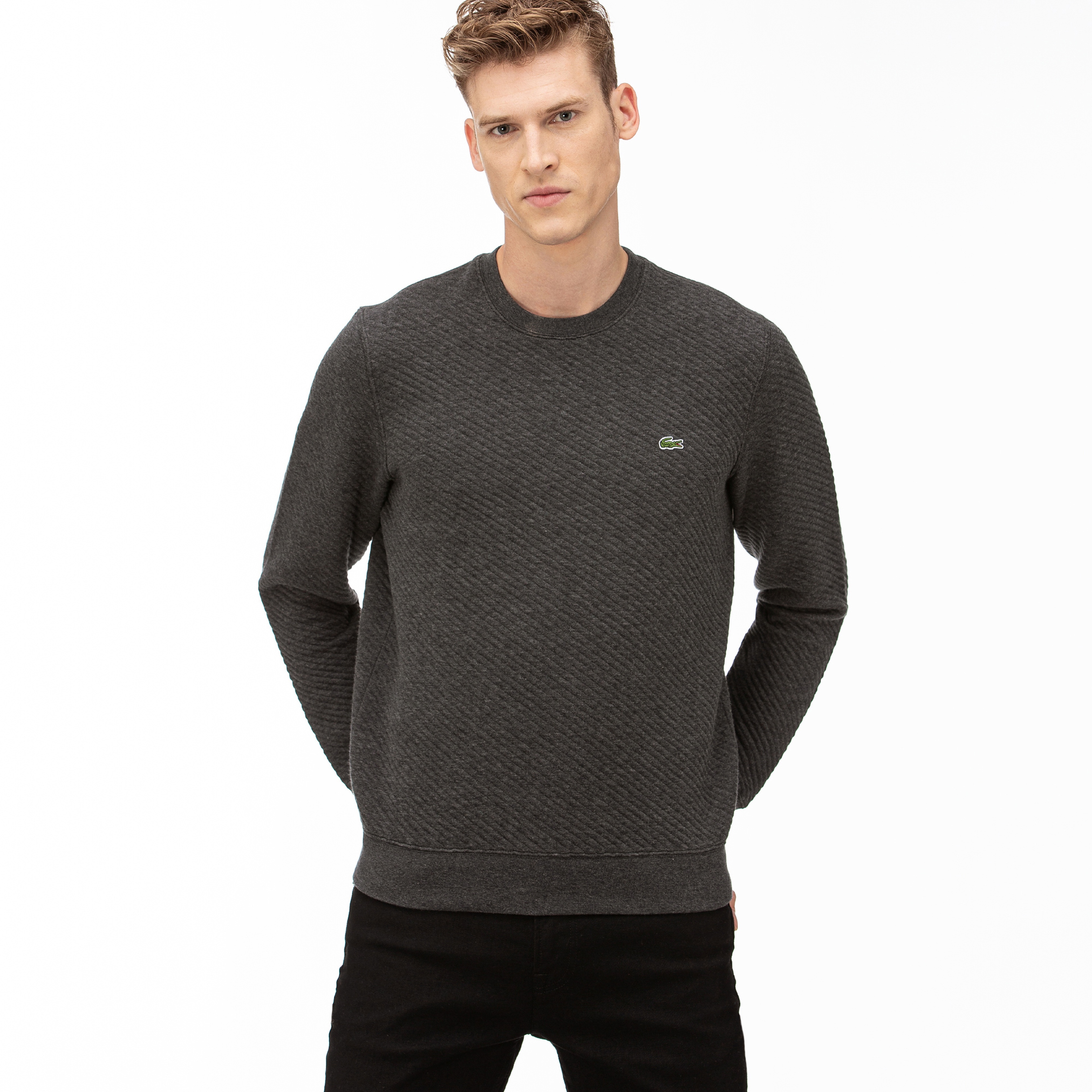 Lacoste Erkek Gri Sweatshirt