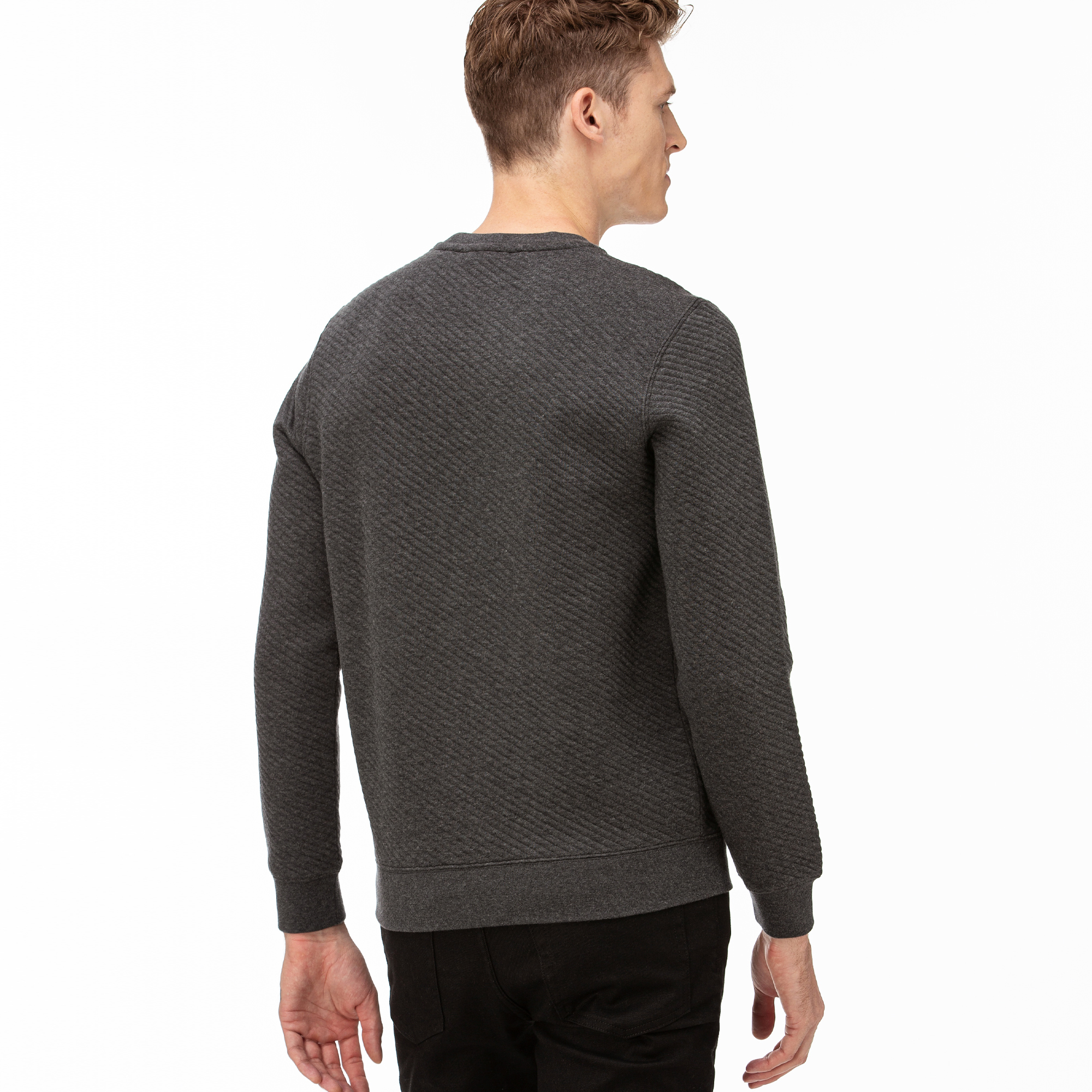 Lacoste Erkek Gri Sweatshirt