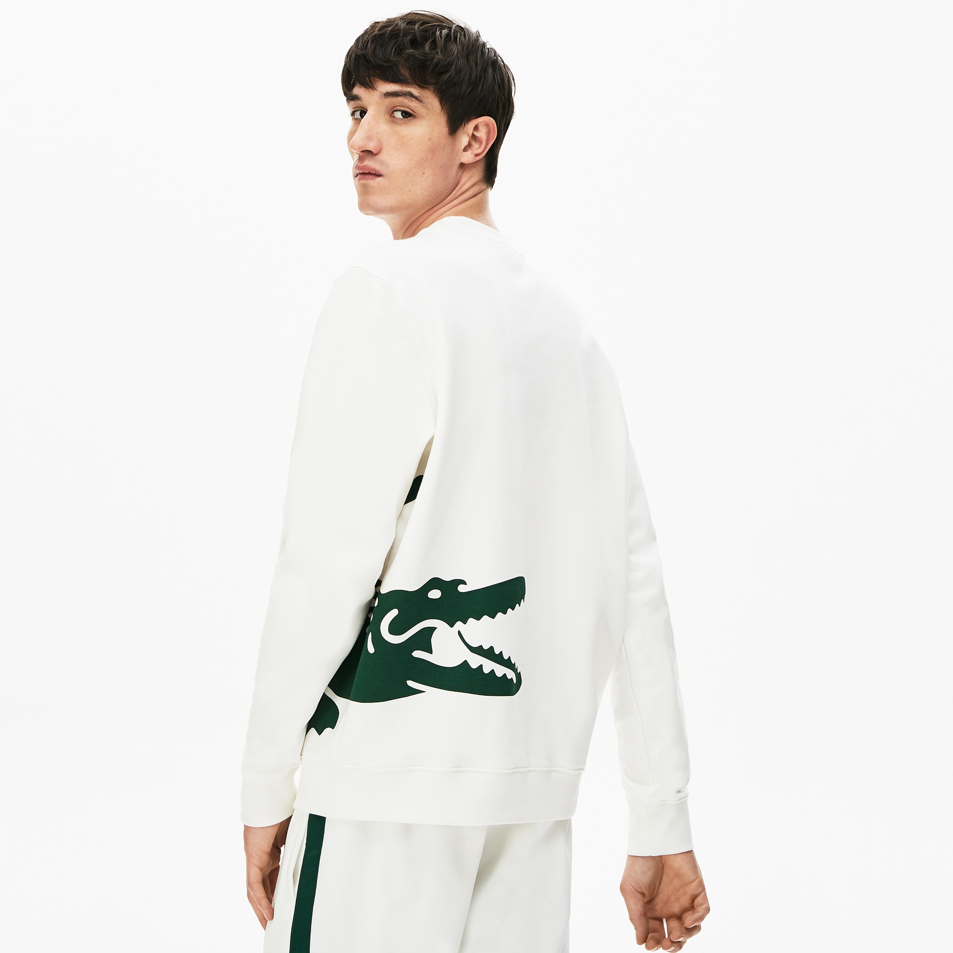 Lacoste Erkek Bisiklet Yaka Timsah Baskılı Beyaz Sweatshirt