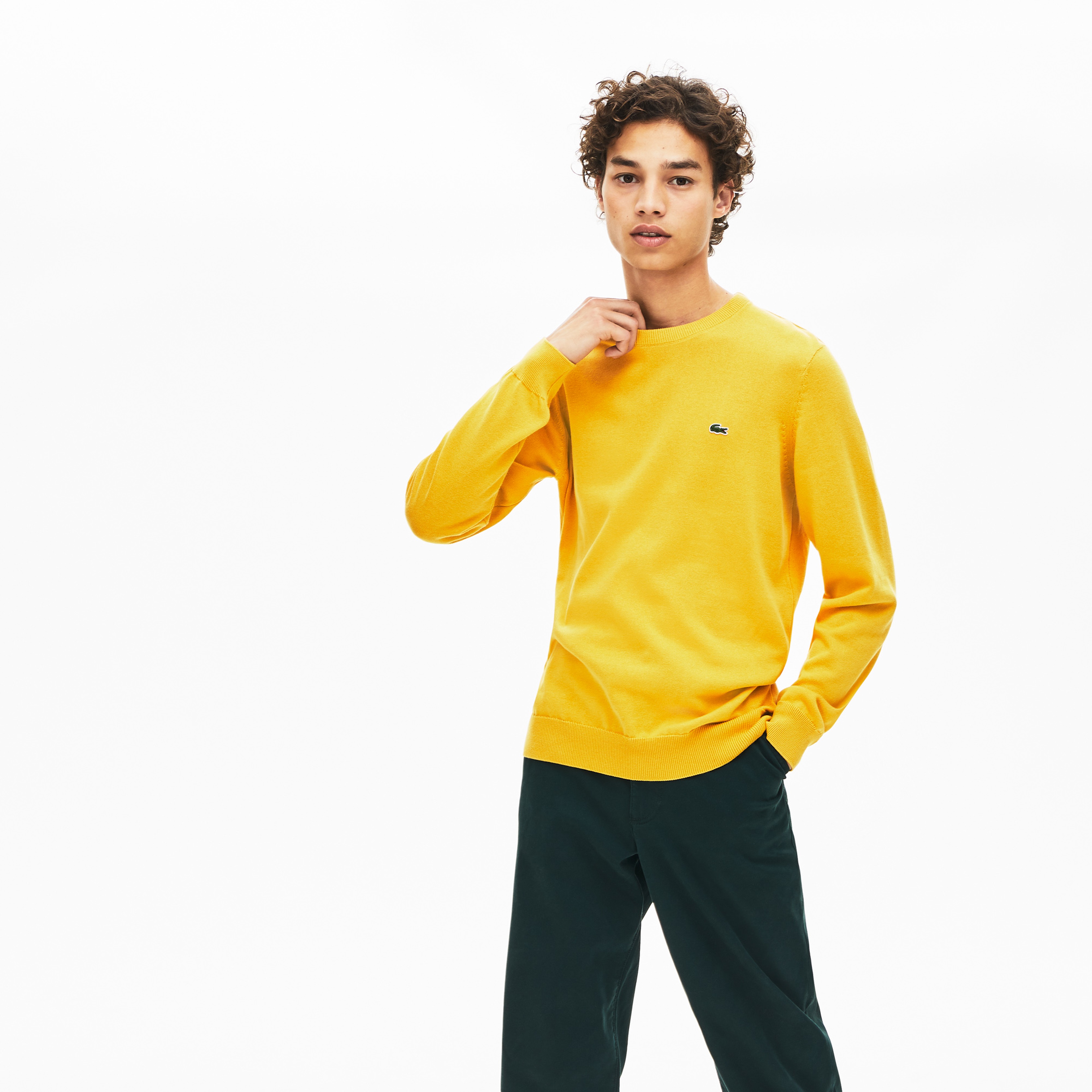 Lacoste Erkek Klasik Fit Bisiklet Yaka Sarı Triko Kazak