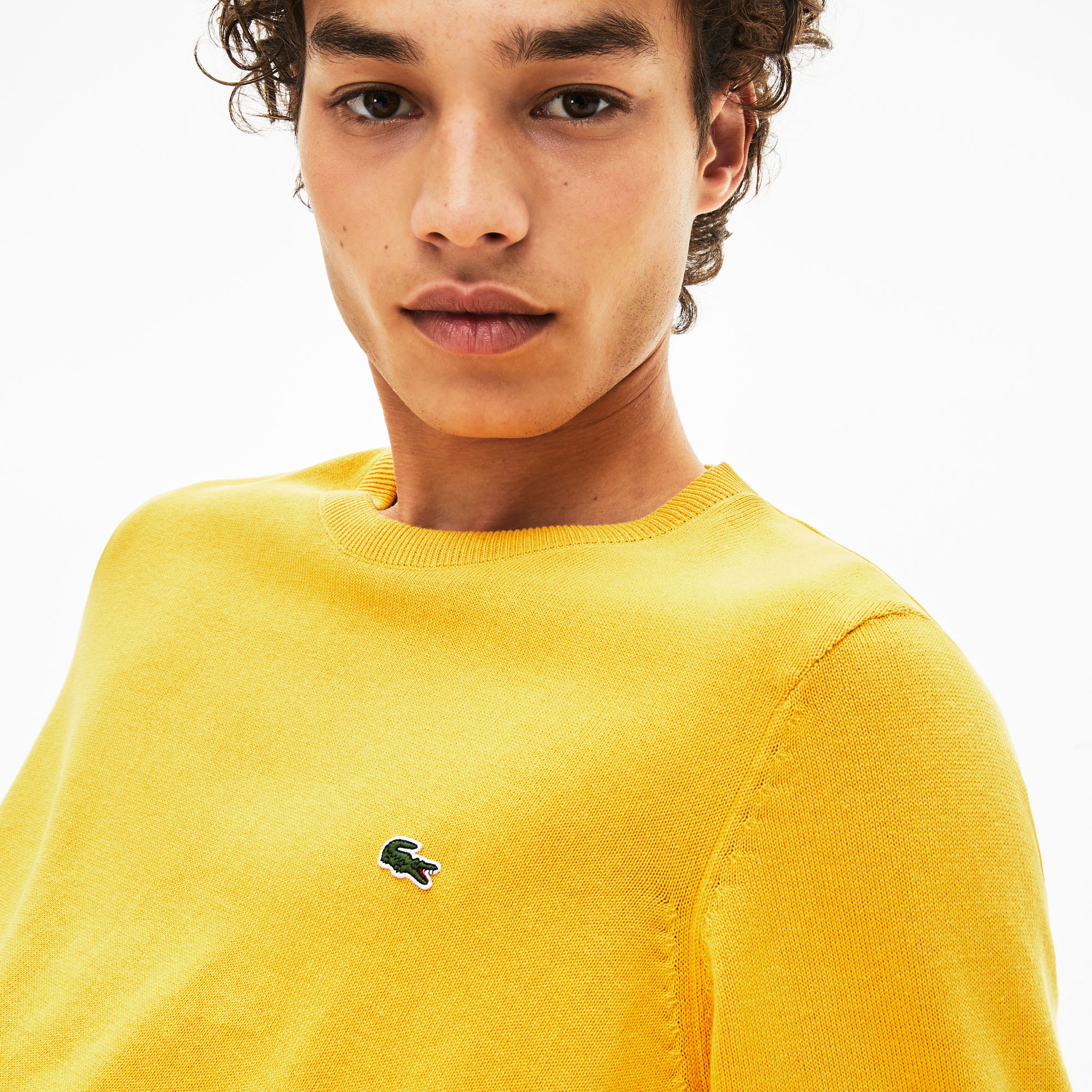 Lacoste Erkek Klasik Fit Bisiklet Yaka Sarı Triko Kazak