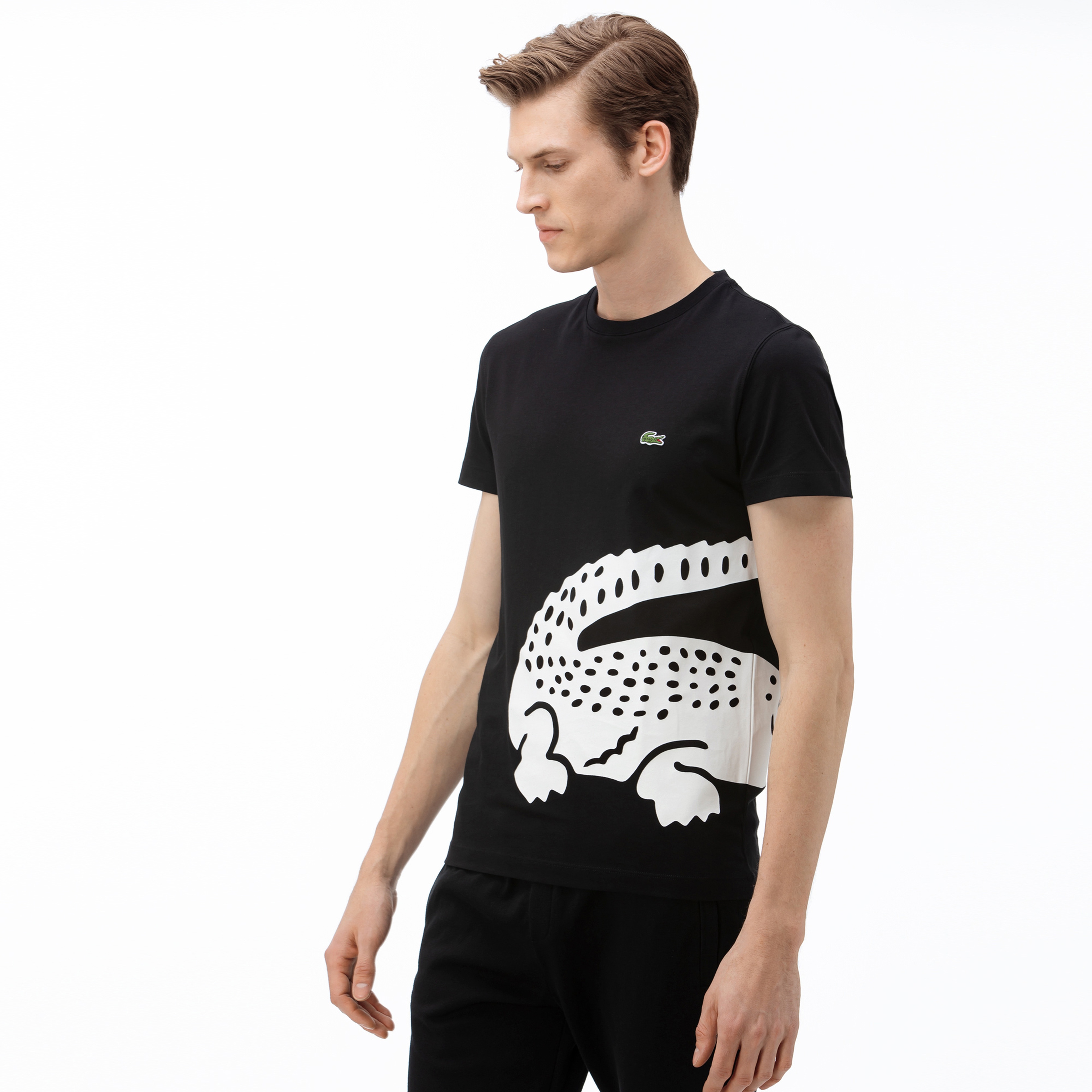 Lacoste Erkek Bisiklet Yaka Timsah Baskılı Siyah T-Shirt