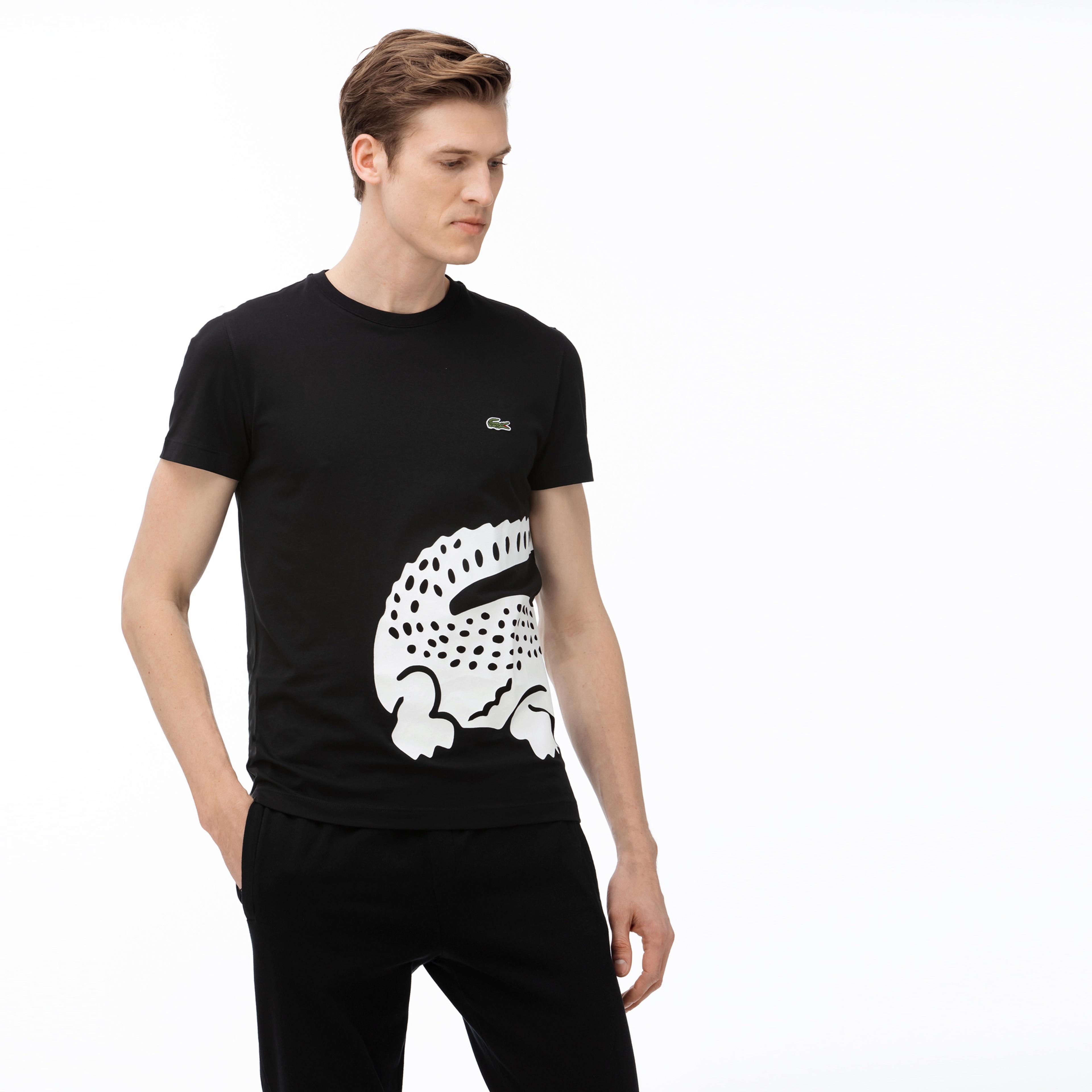 Lacoste Erkek Bisiklet Yaka Timsah Baskılı Siyah T-Shirt