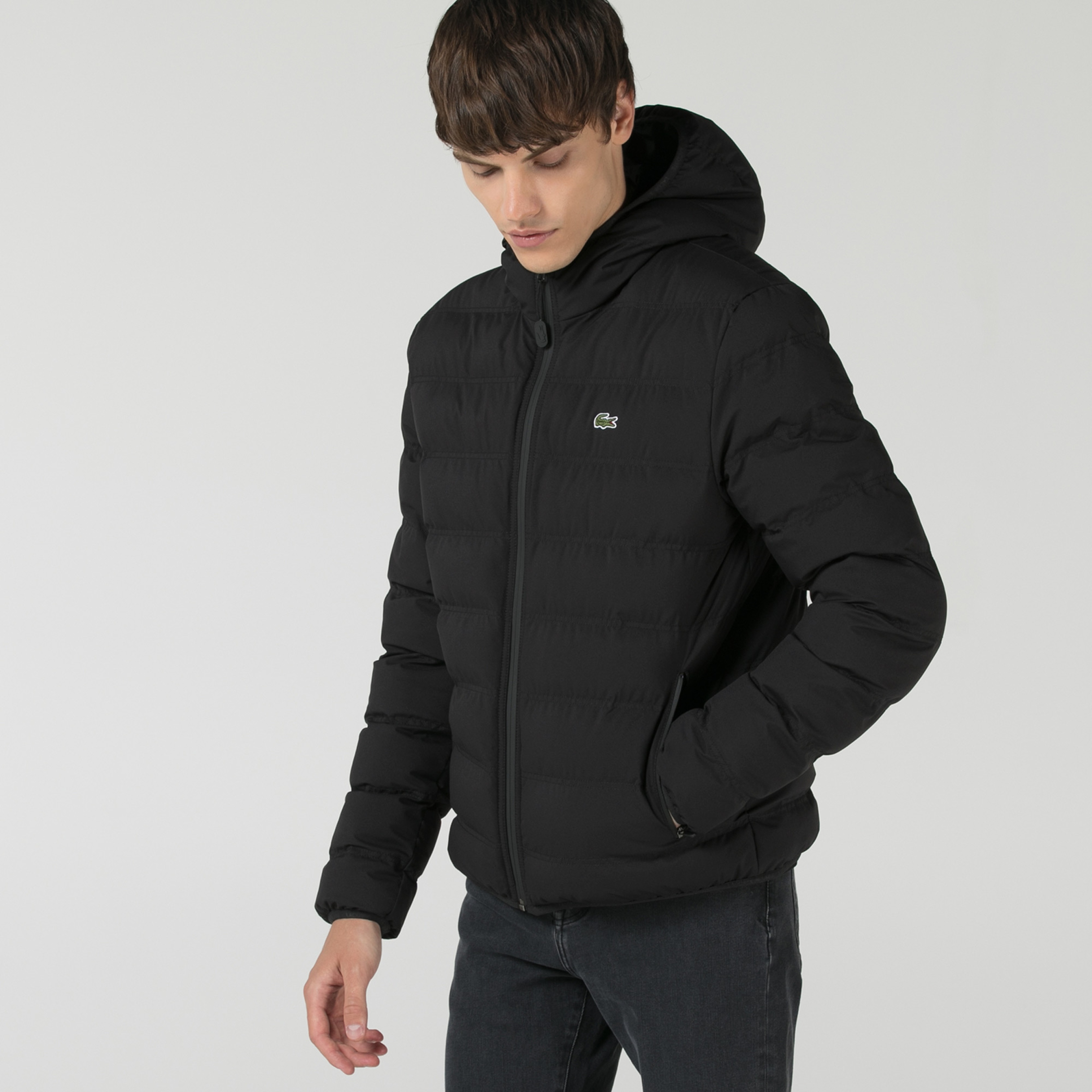 Lacoste Erkek Kapüşonlu Kapitone Siyah Mont