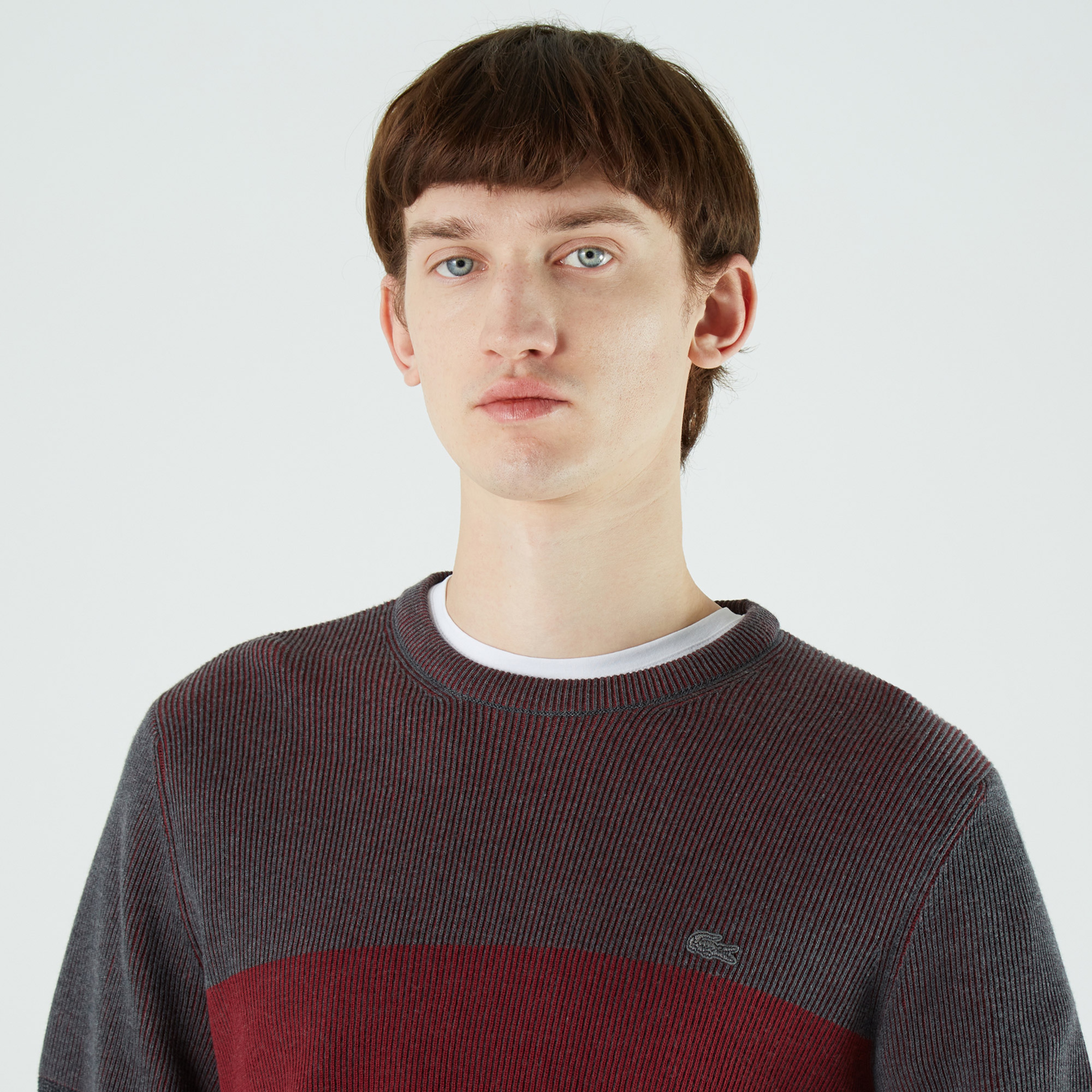 Lacoste Erkek Regular Fit Bisiklet Yaka Renk Bloklu Gri Kazak