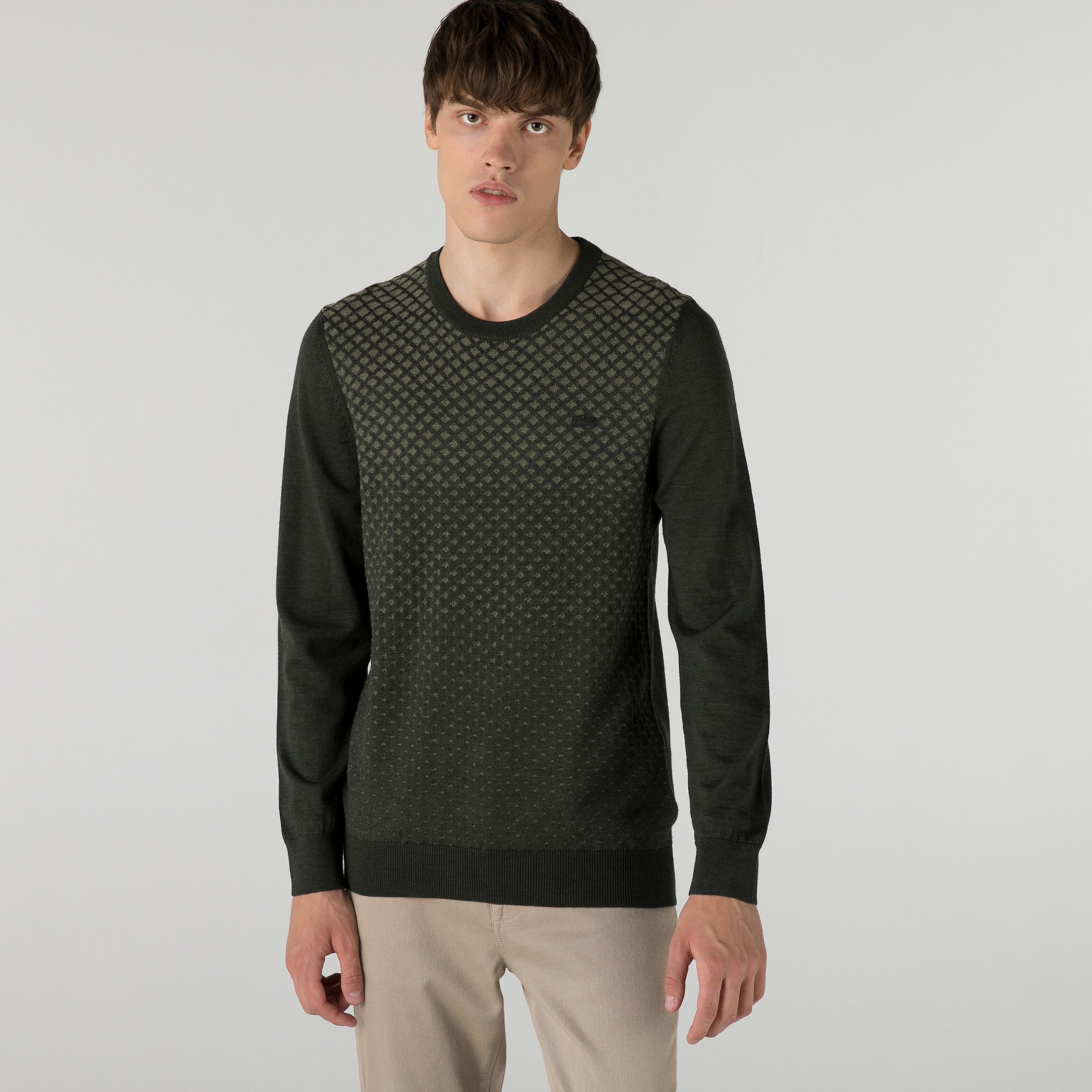 Lacoste Erkek Regular Fit Bisiklet Yaka Desenli Haki Kazak