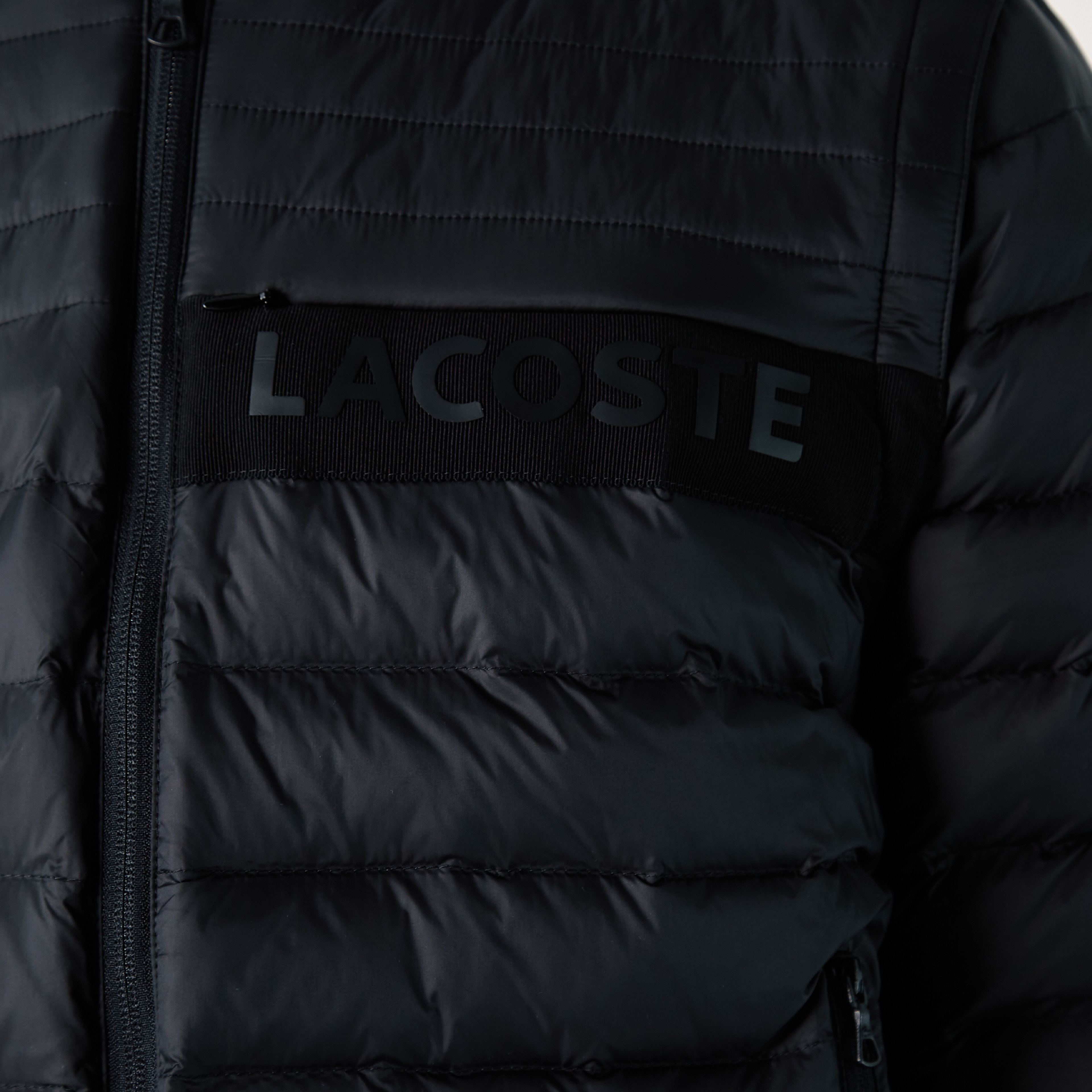 Lacoste Erkek Hakim Yaka Kapitone Siyah Mont