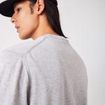 Erkek Regular Fit Bisiklet Yaka Organik Pamuk Gri Kazak