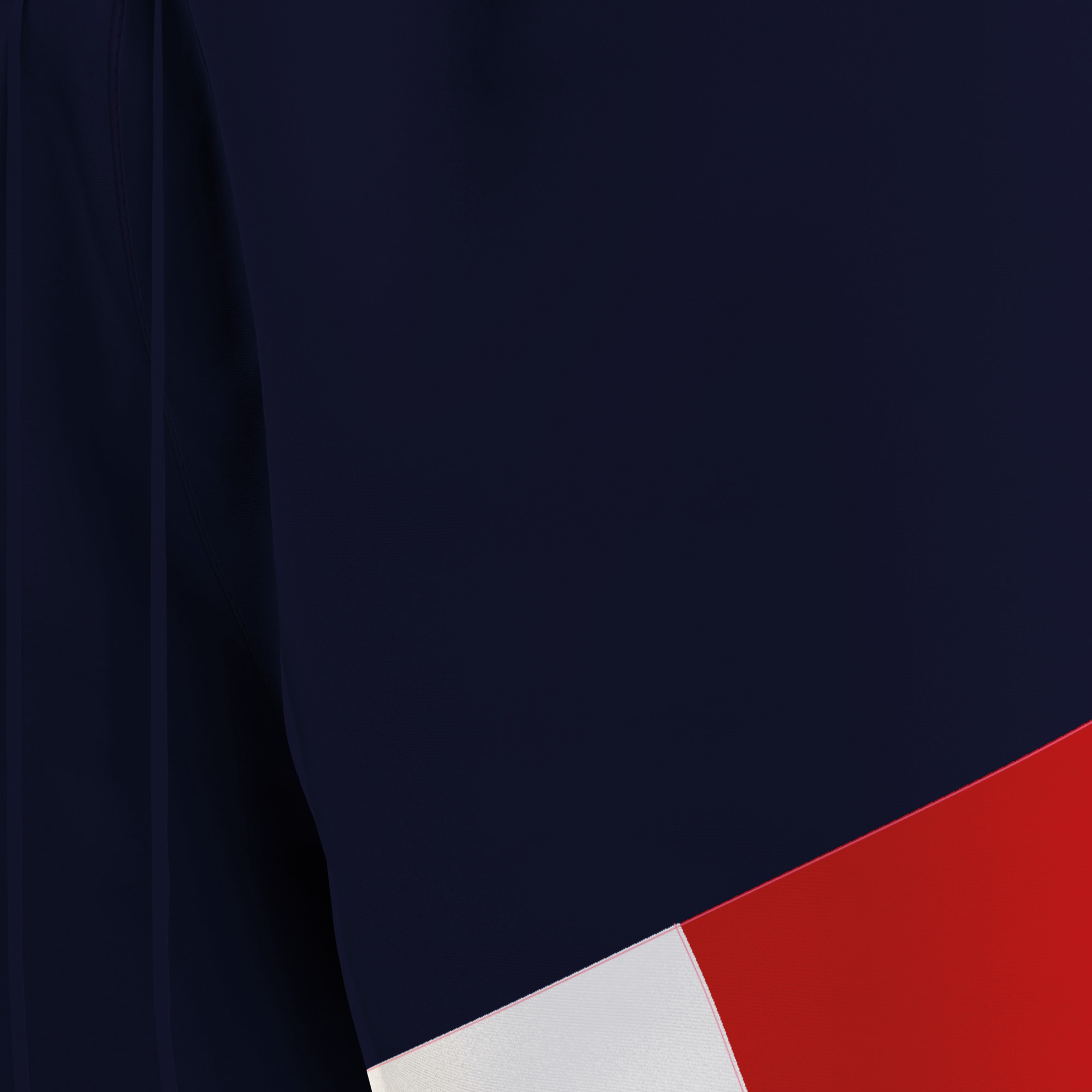 Tommy Hilfiger Classics Erkek Lacivert Şort