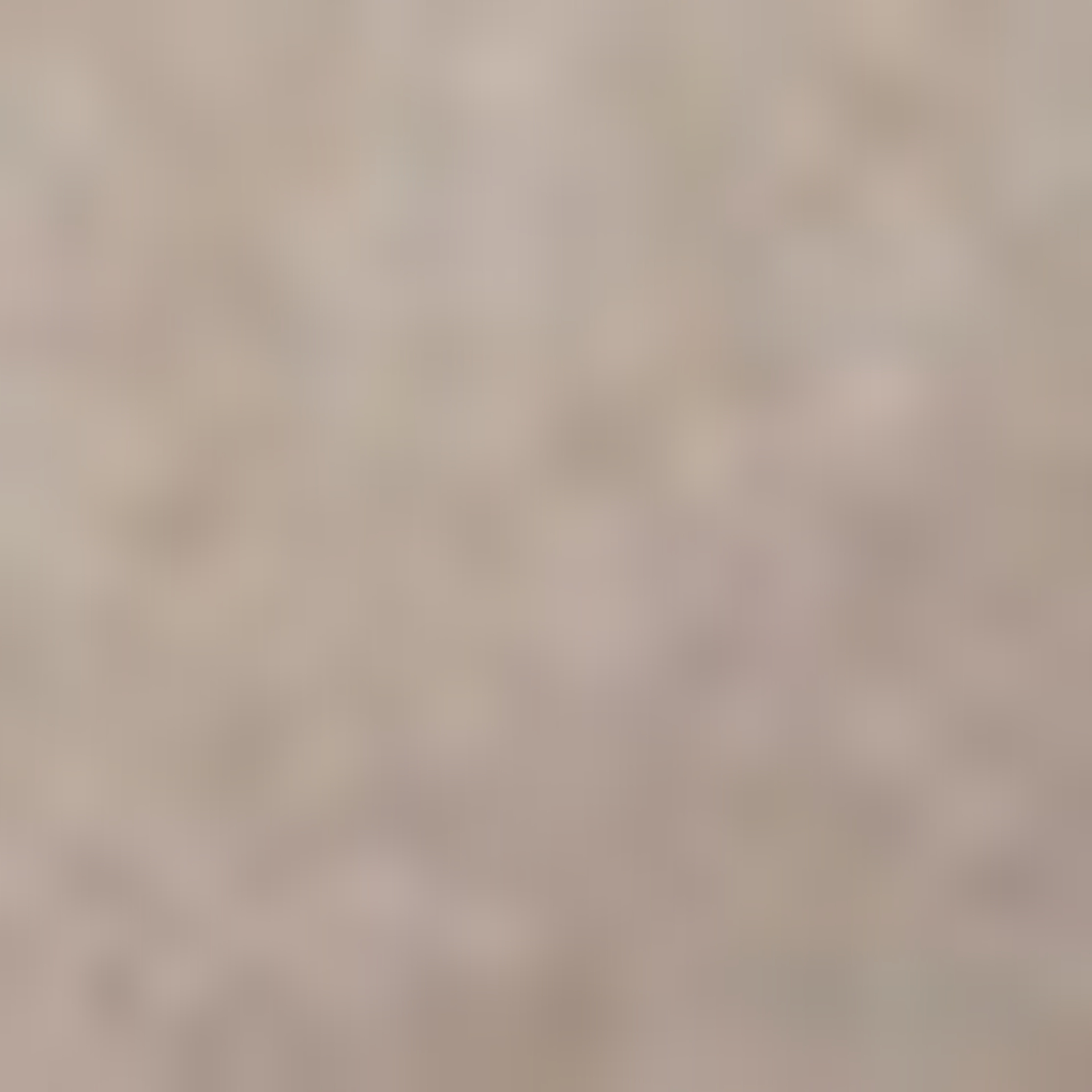 GANT Erkek Bej Slim Fit Twill Chino Pantolon