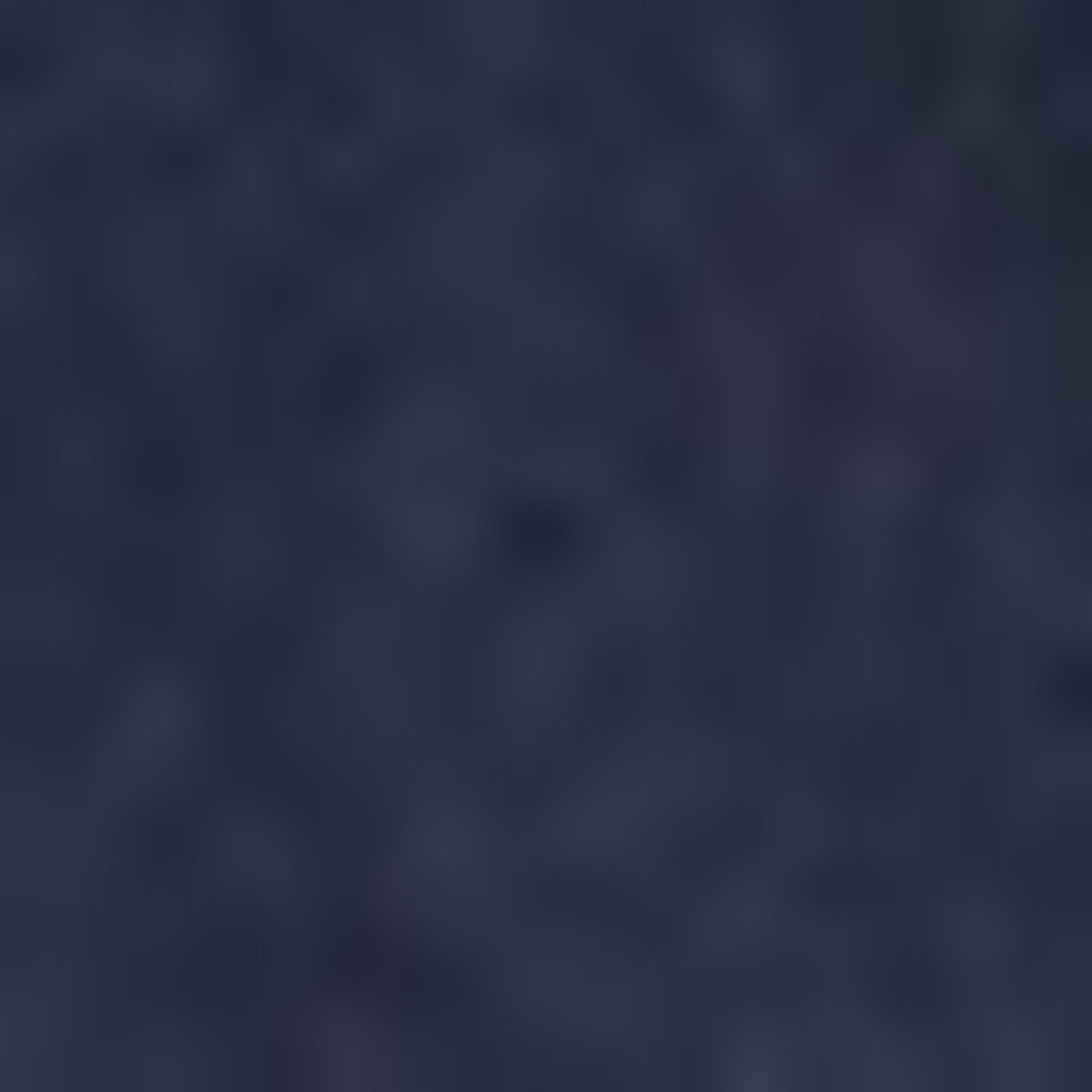 Gant Erkek Lacivert Fermuarlı Mont