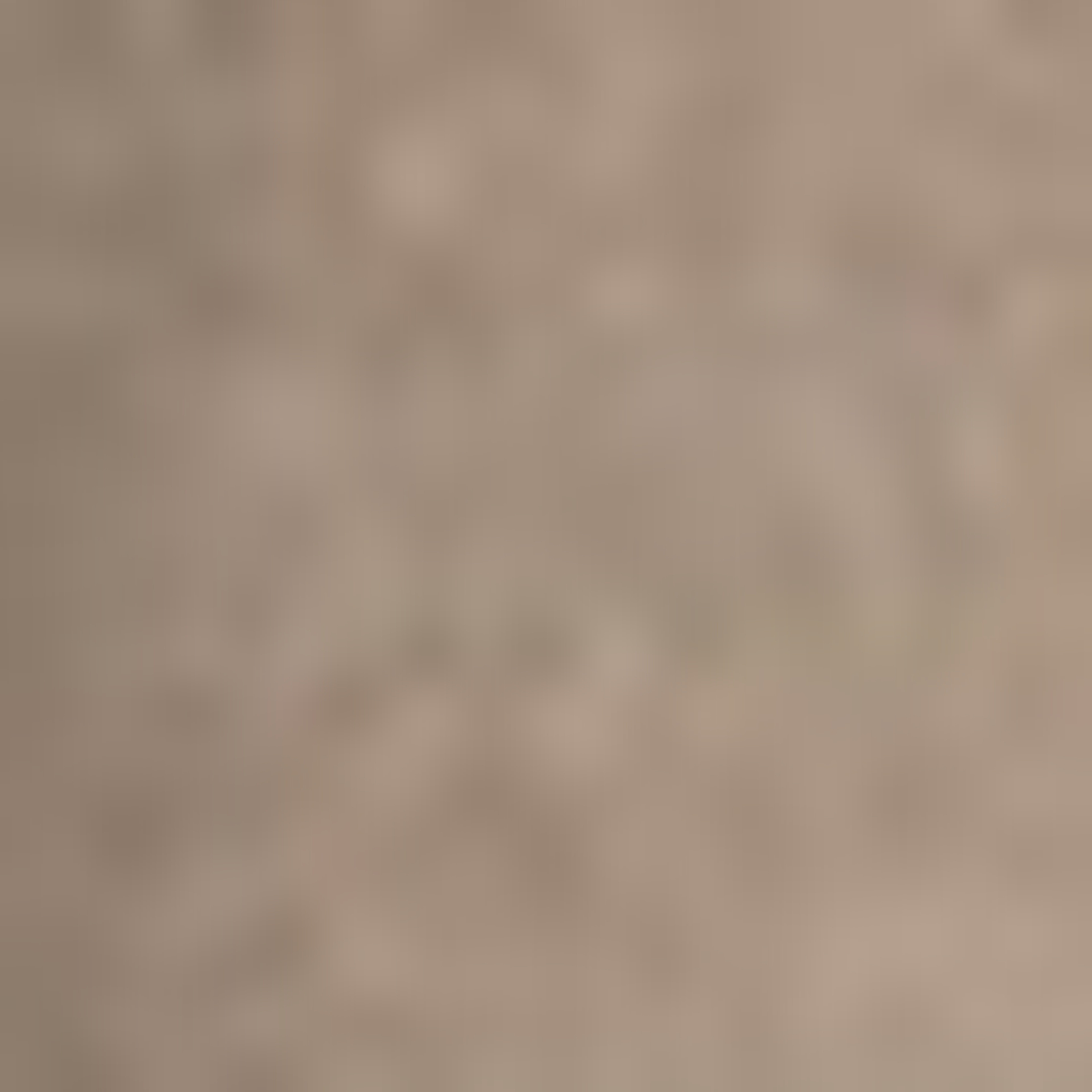 Gant Erkek Bej Fermuarlı Mont