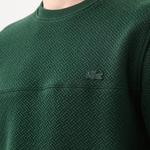 Erkek Regular Fit Uzun Kollu Bisiklet Yaka Koyu Yeşil T-Shirt