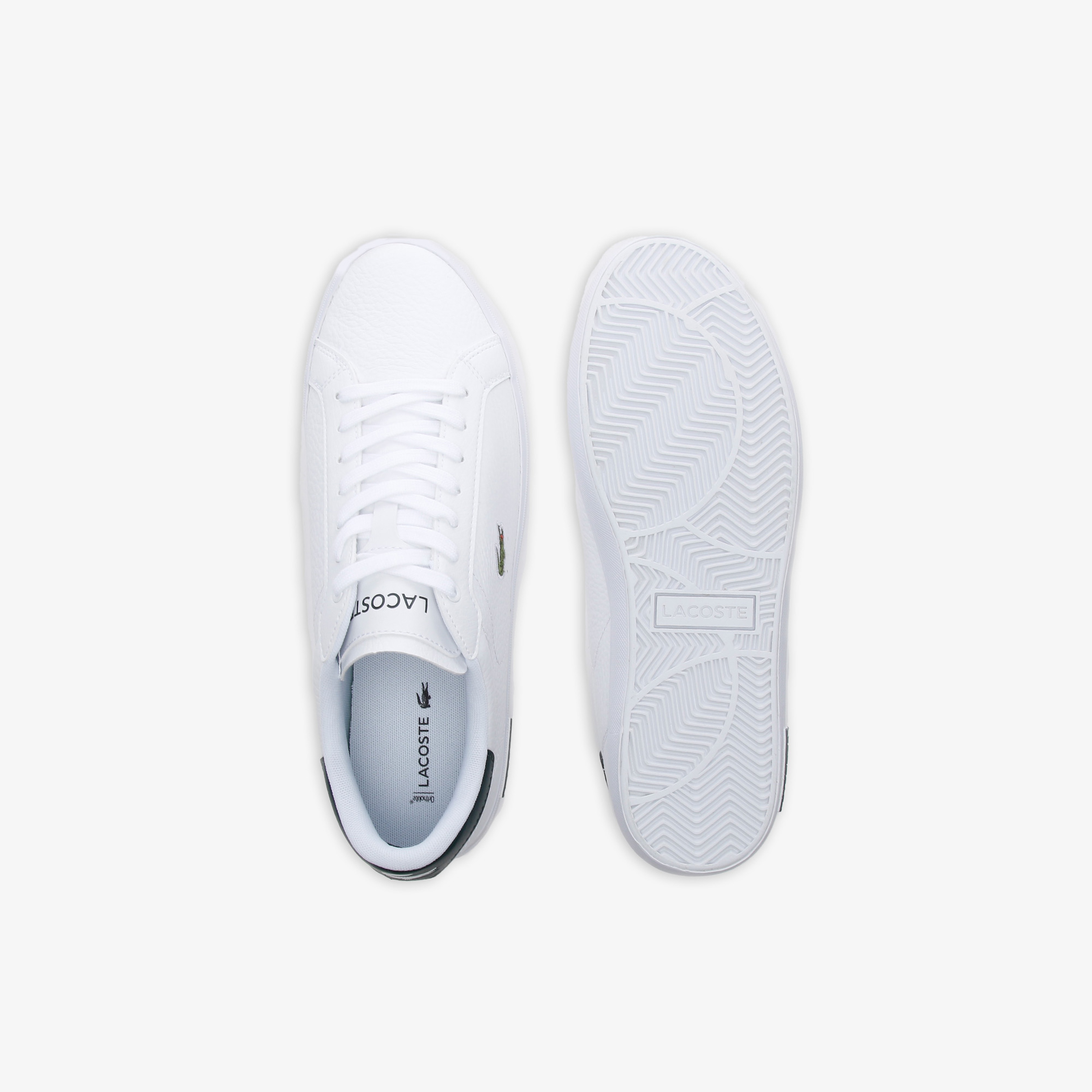 Lacoste Powercourt Erkek Beyaz Sneaker