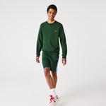 Erkek Classic Fit Bisiklet Yaka Yeşil Sweatshirt