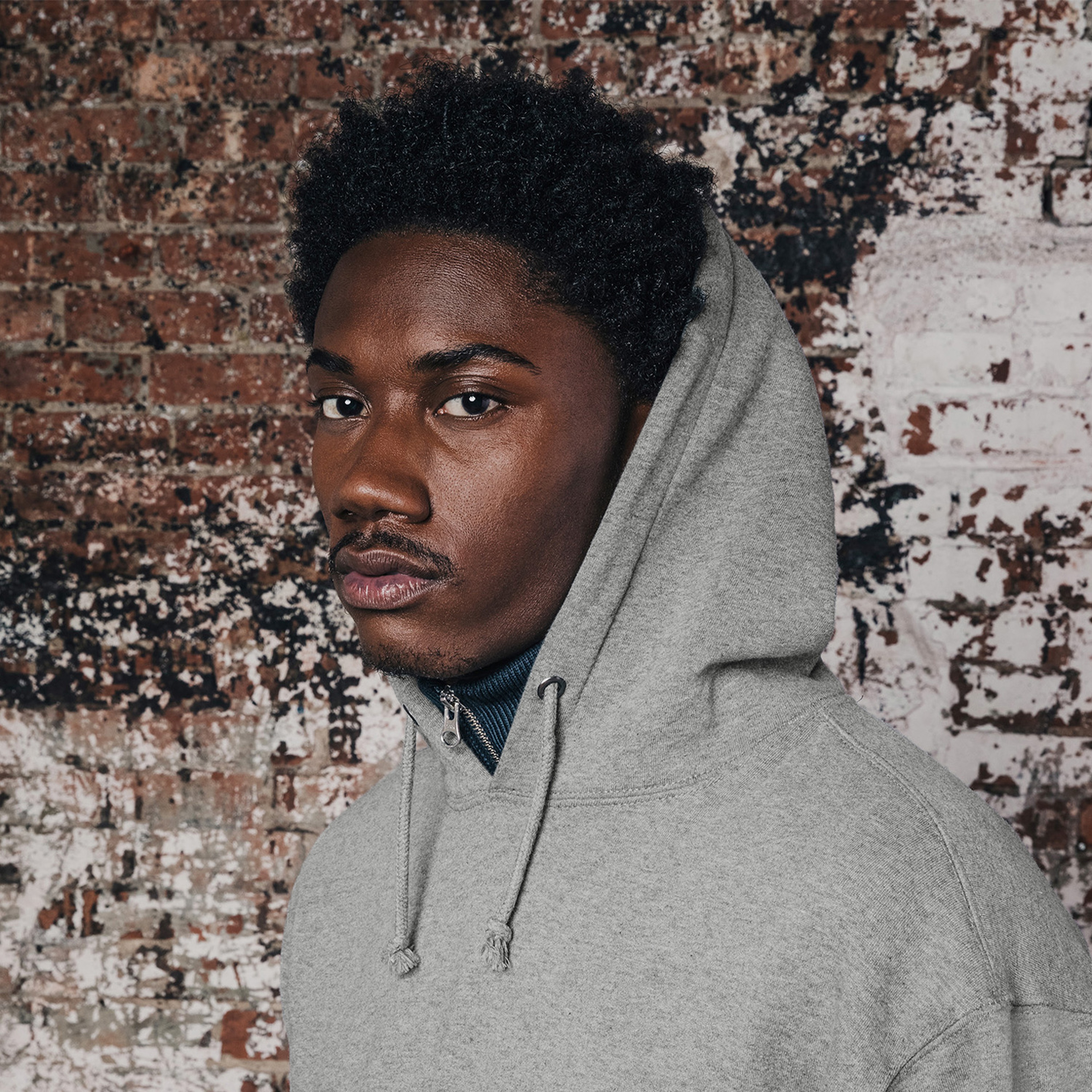 Alpha Industries Essential Erkek Gri Hoodie