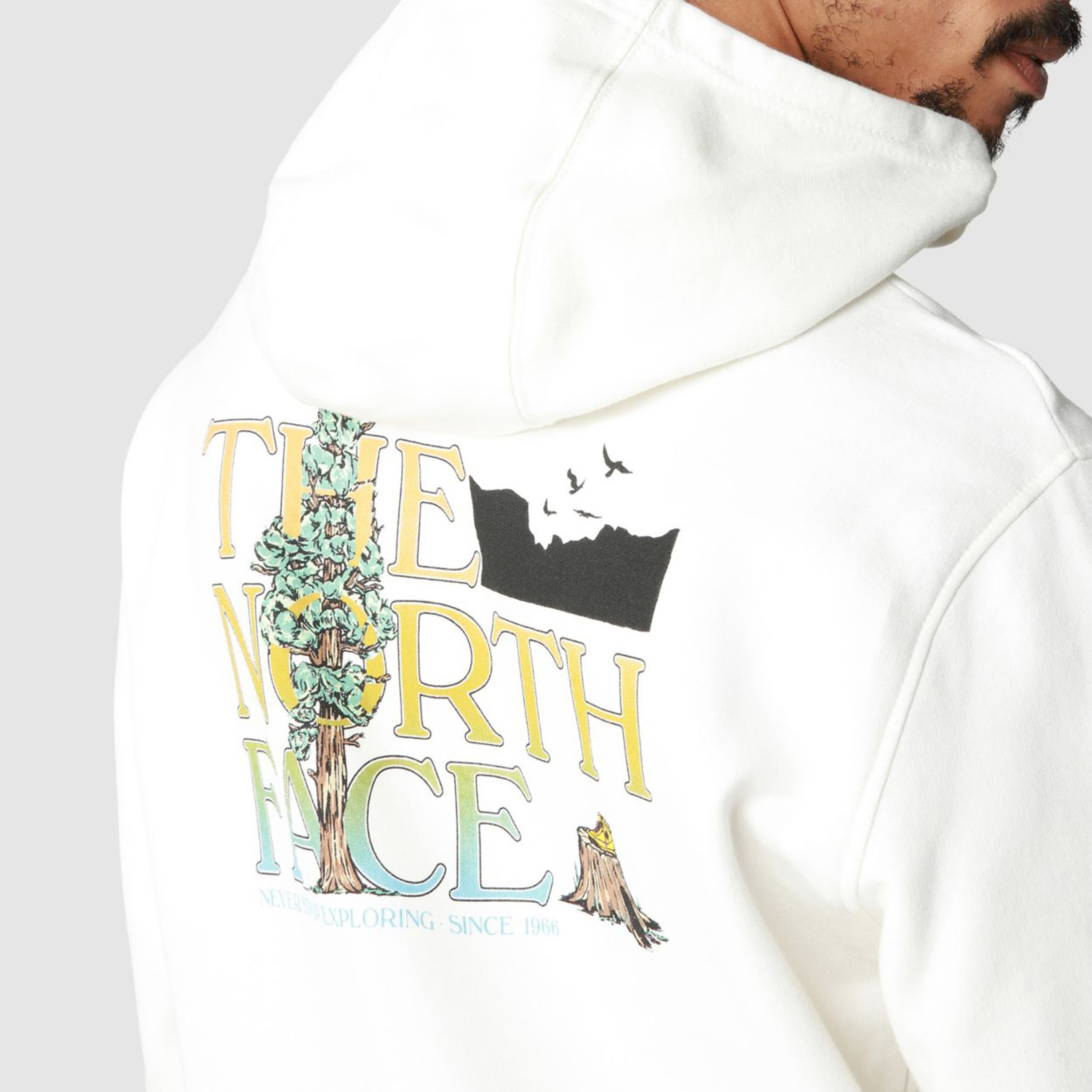 The North Face Seasonal Graphic Erkek Beyaz Hoodie