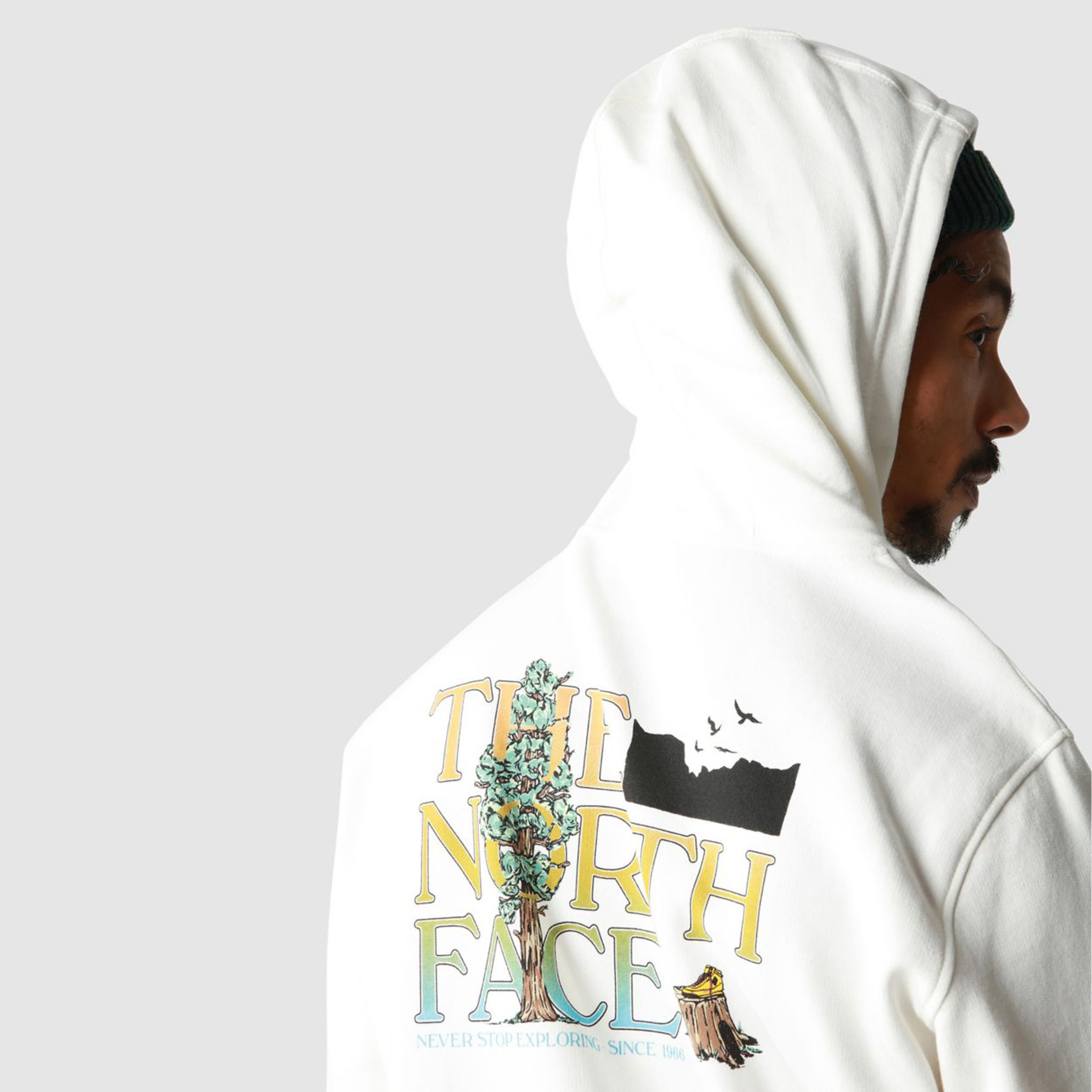 The North Face Seasonal Graphic Erkek Beyaz Hoodie