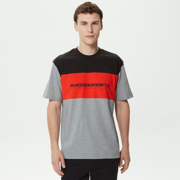 Erkek Relaxed Fit Bisiklet Yaka Renk Bloklu Gri T-Shirt