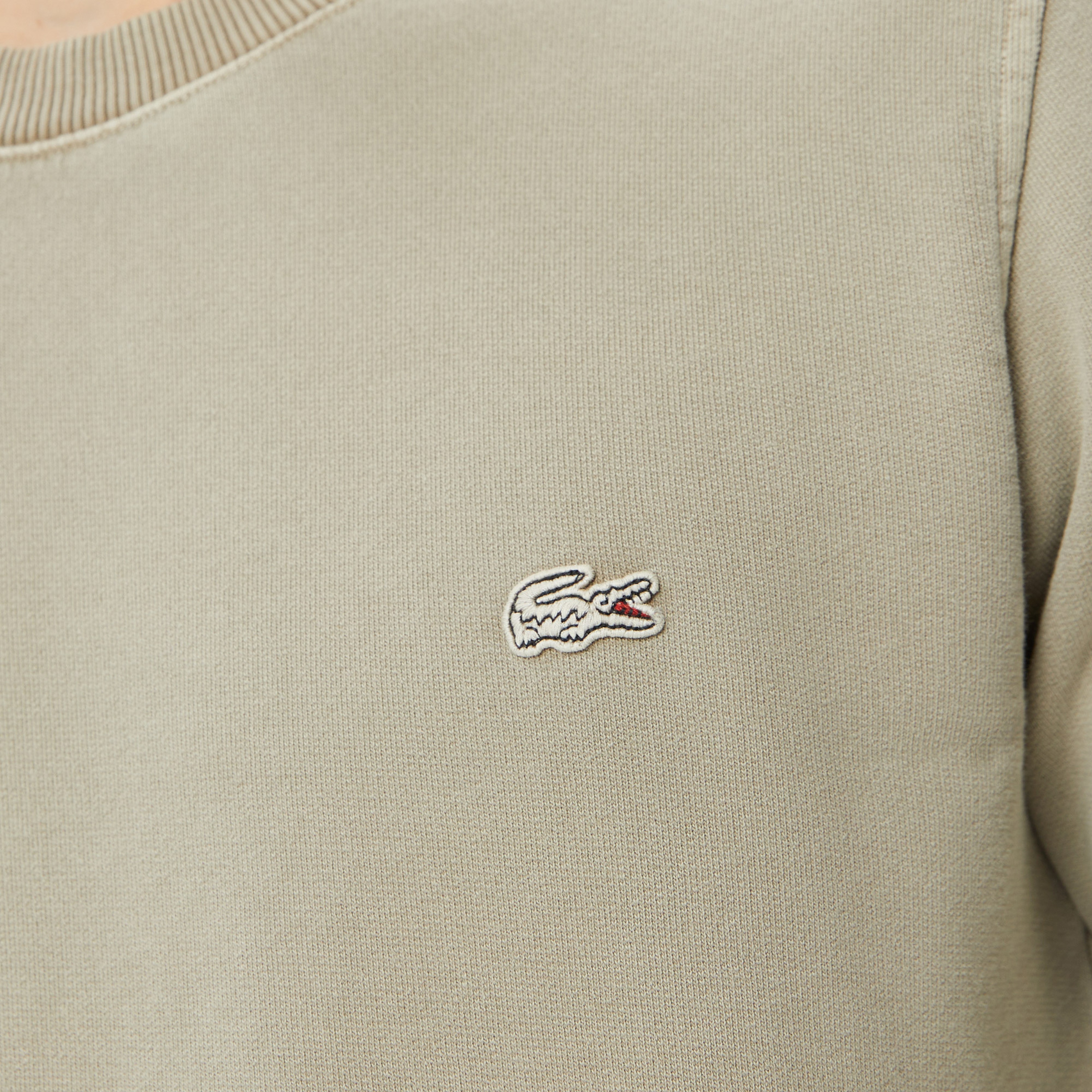 Erkek Regular Fit Bisiklet Yaka Organik Pamuk Yeşil Sweatshirt