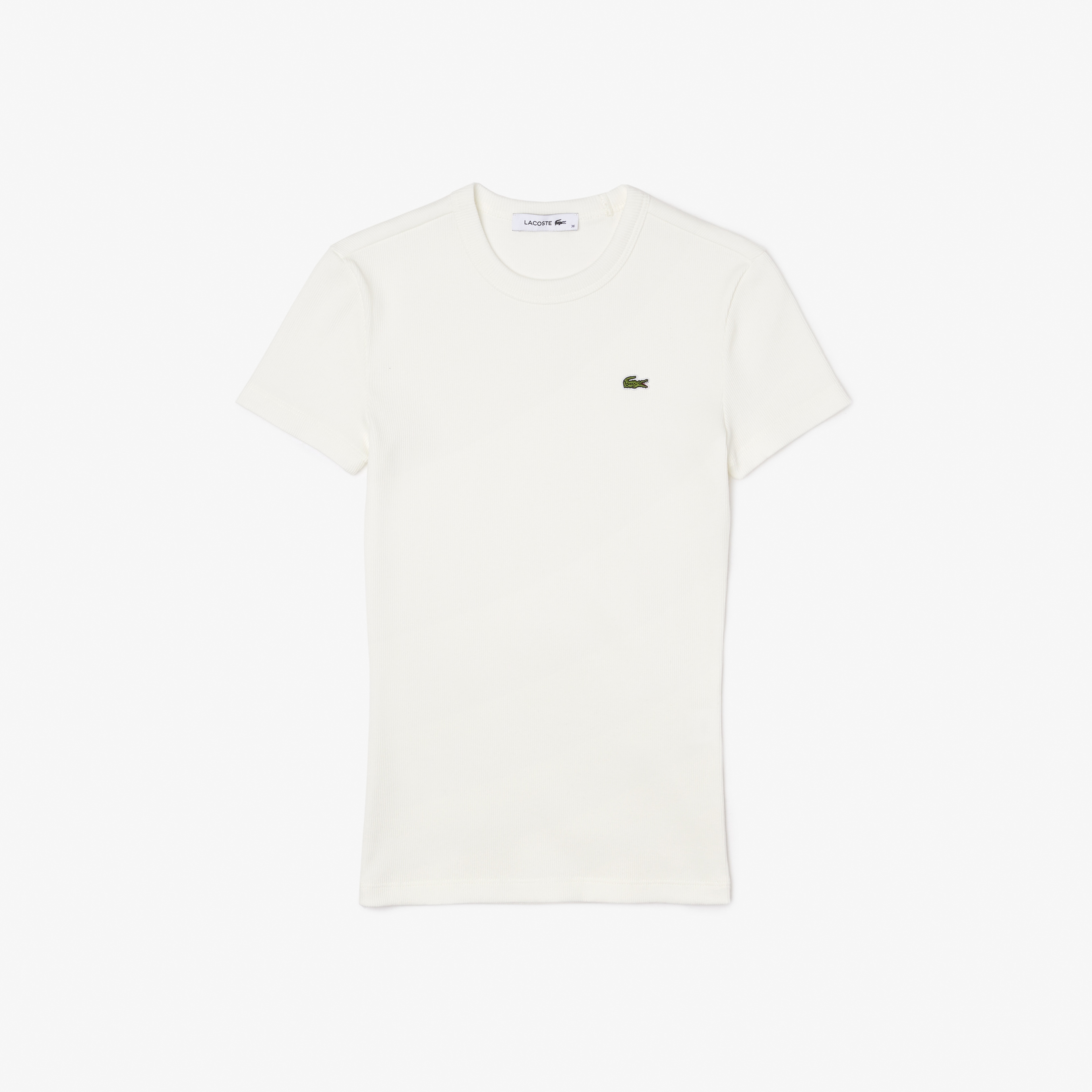 Kadın Slim Fit Bisiklet Yaka Beyaz T-Shirt