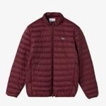 Erkek Dik Yaka Kapitone Bordo Mont