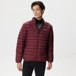 Erkek Dik Yaka Kapitone Bordo Mont