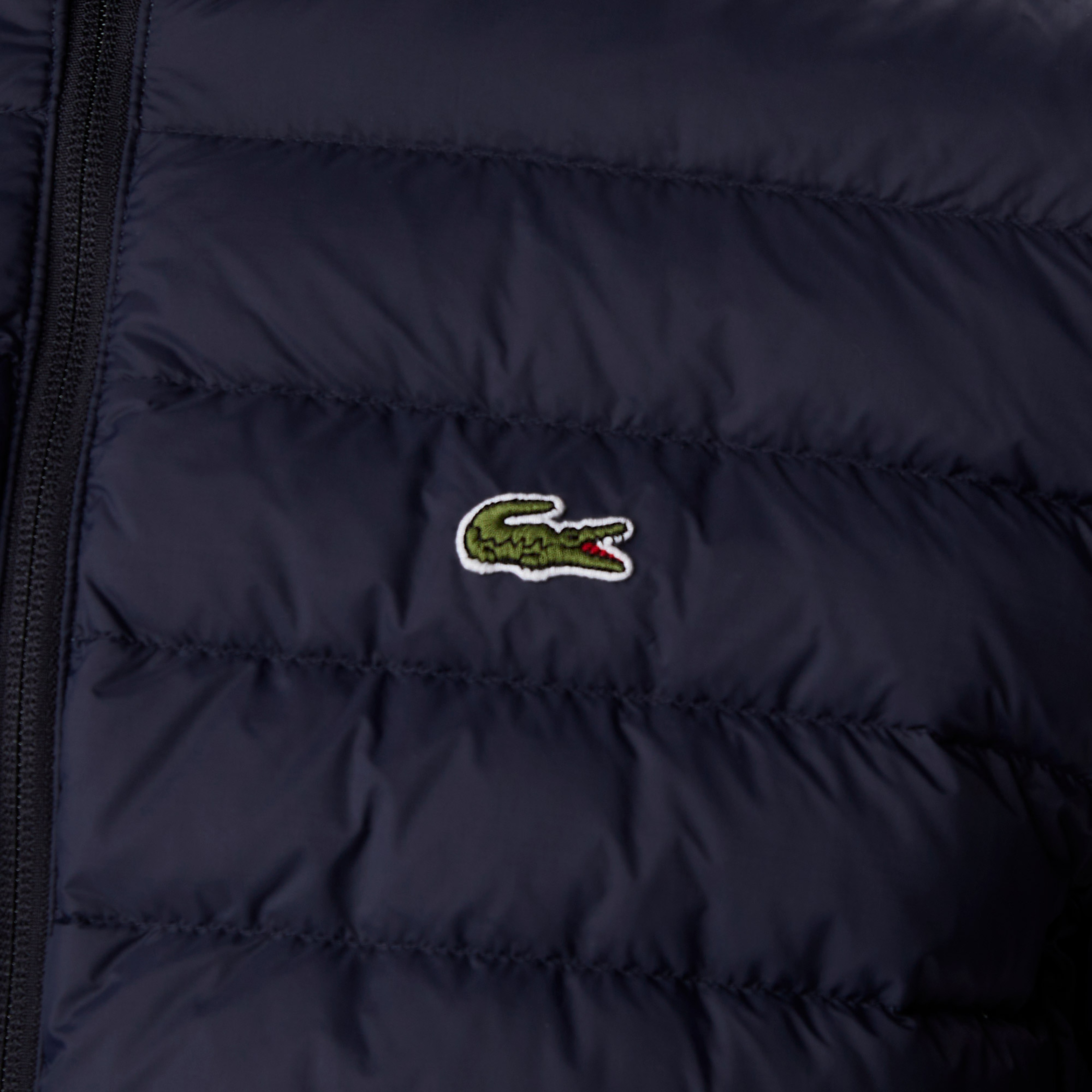 Erkek Dik Yaka Kapitone Lacivert Mont