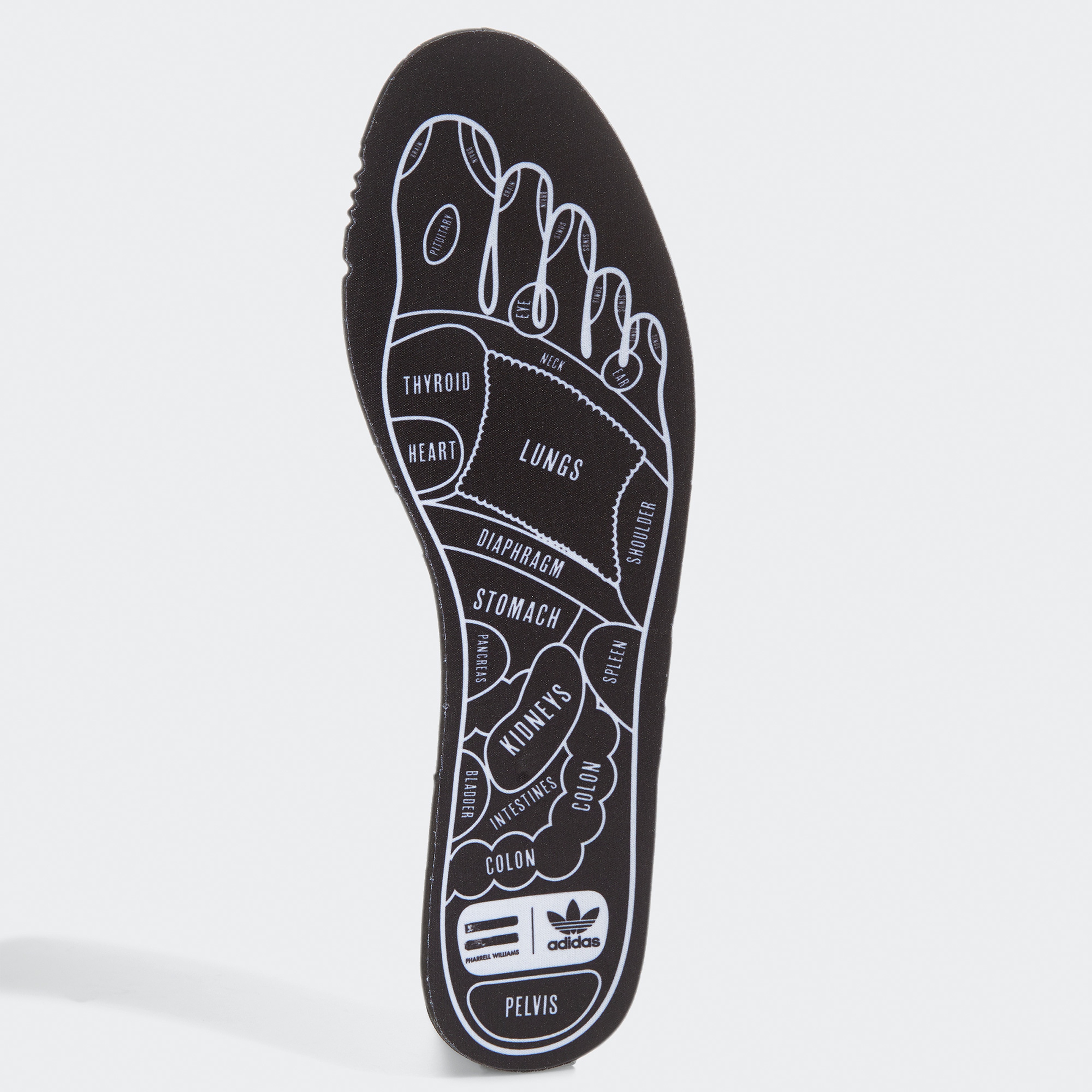 adidas Pharrell Williams Tennis Hu Unisex Beyaz Spor Ayakkabı