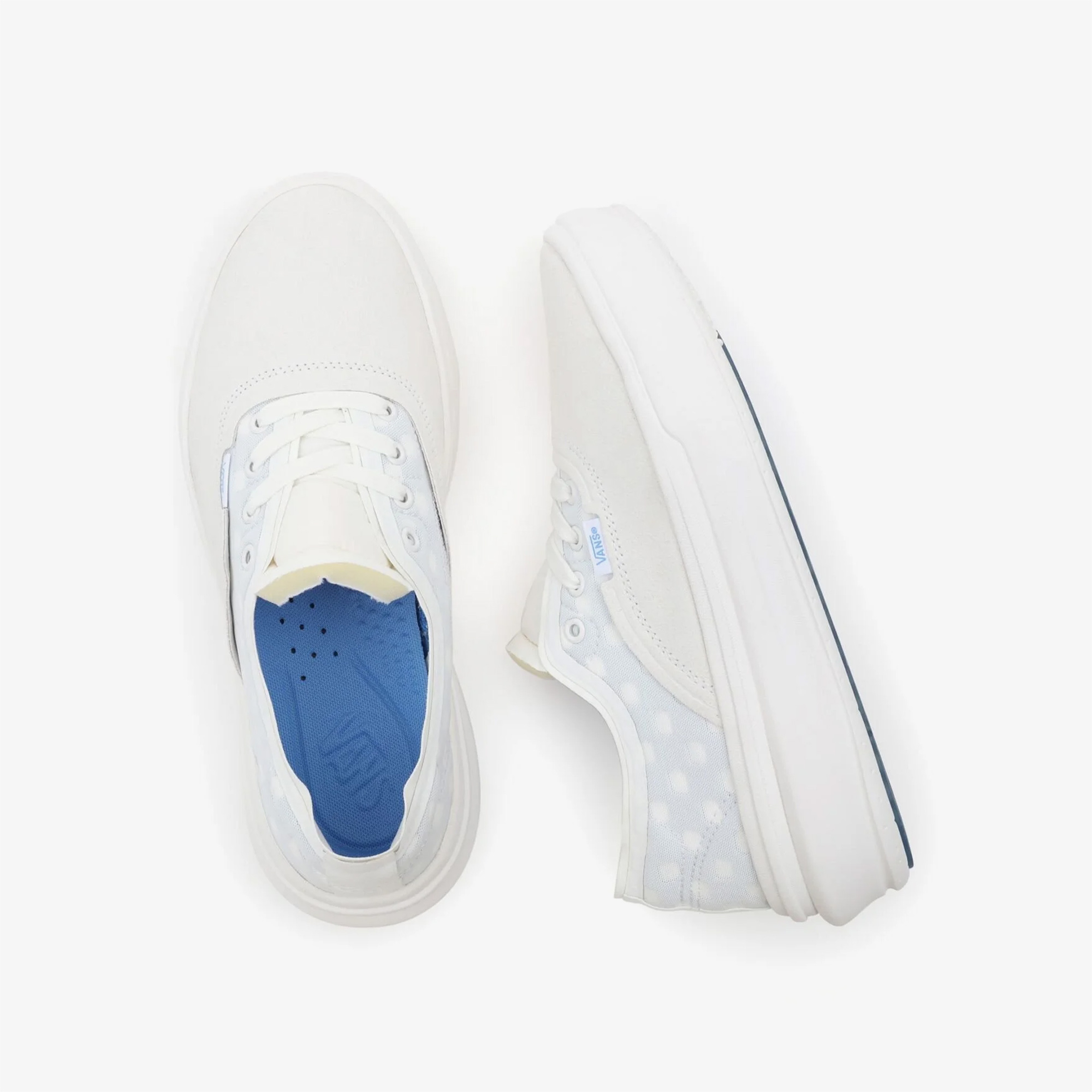 Vans Authentic Overt Cc Unisex Beyaz Sneaker