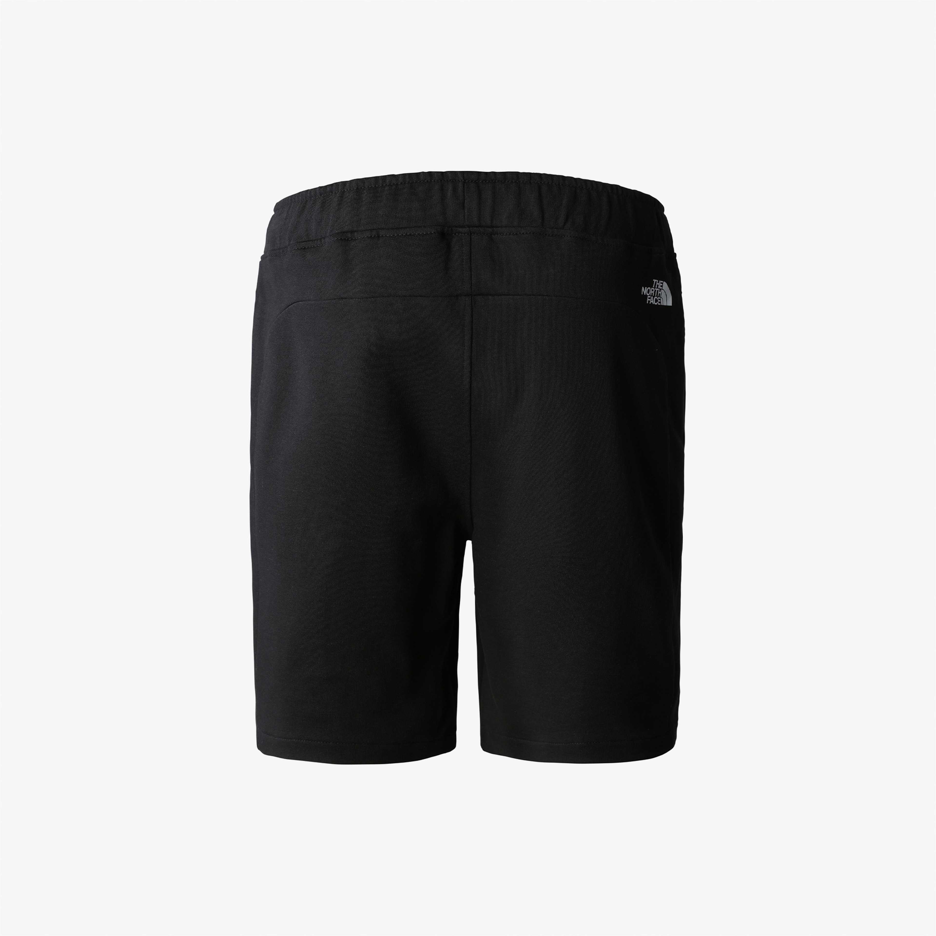 The North Face Summer Logo Erkek Siyah Şort
