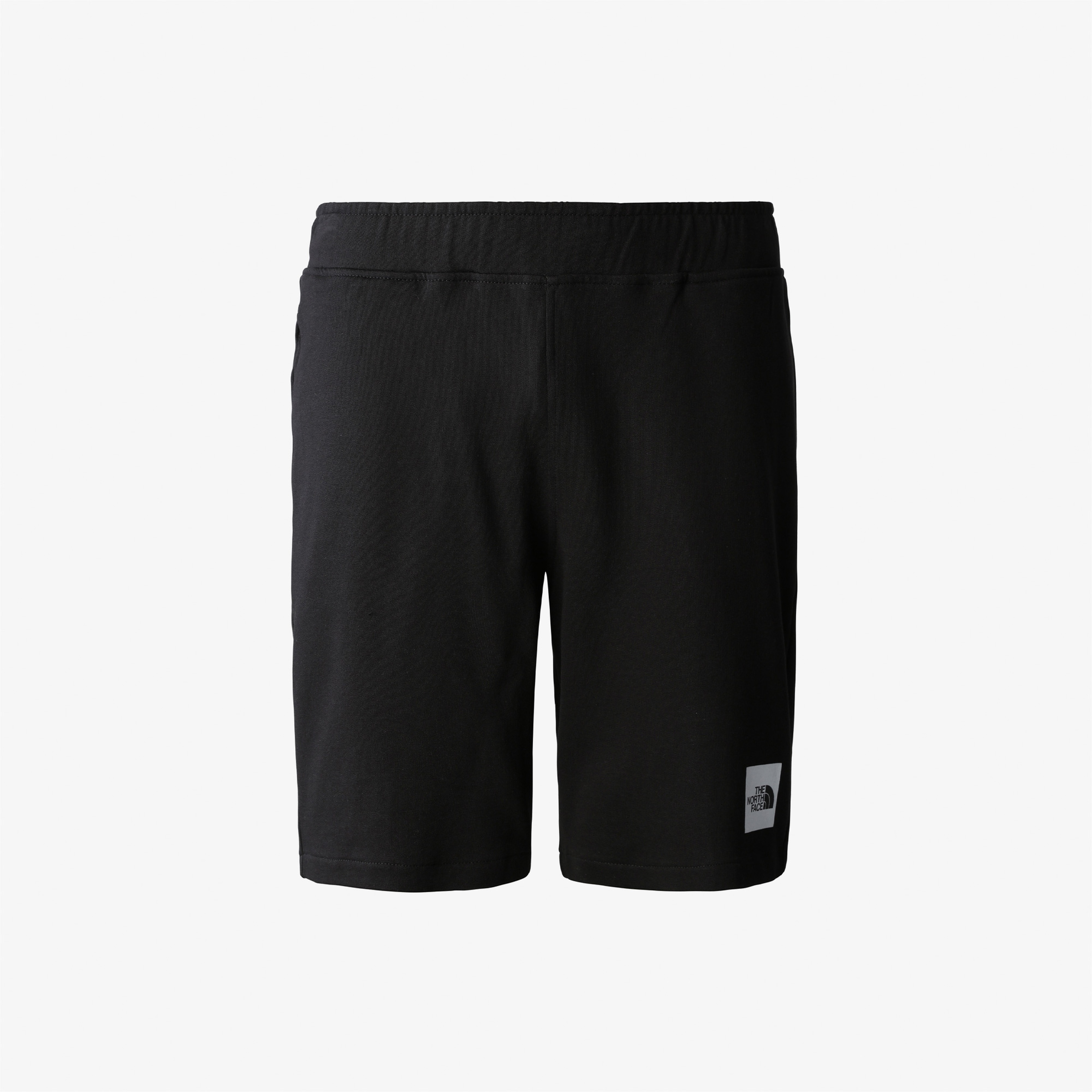 The North Face Summer Logo Erkek Siyah Şort