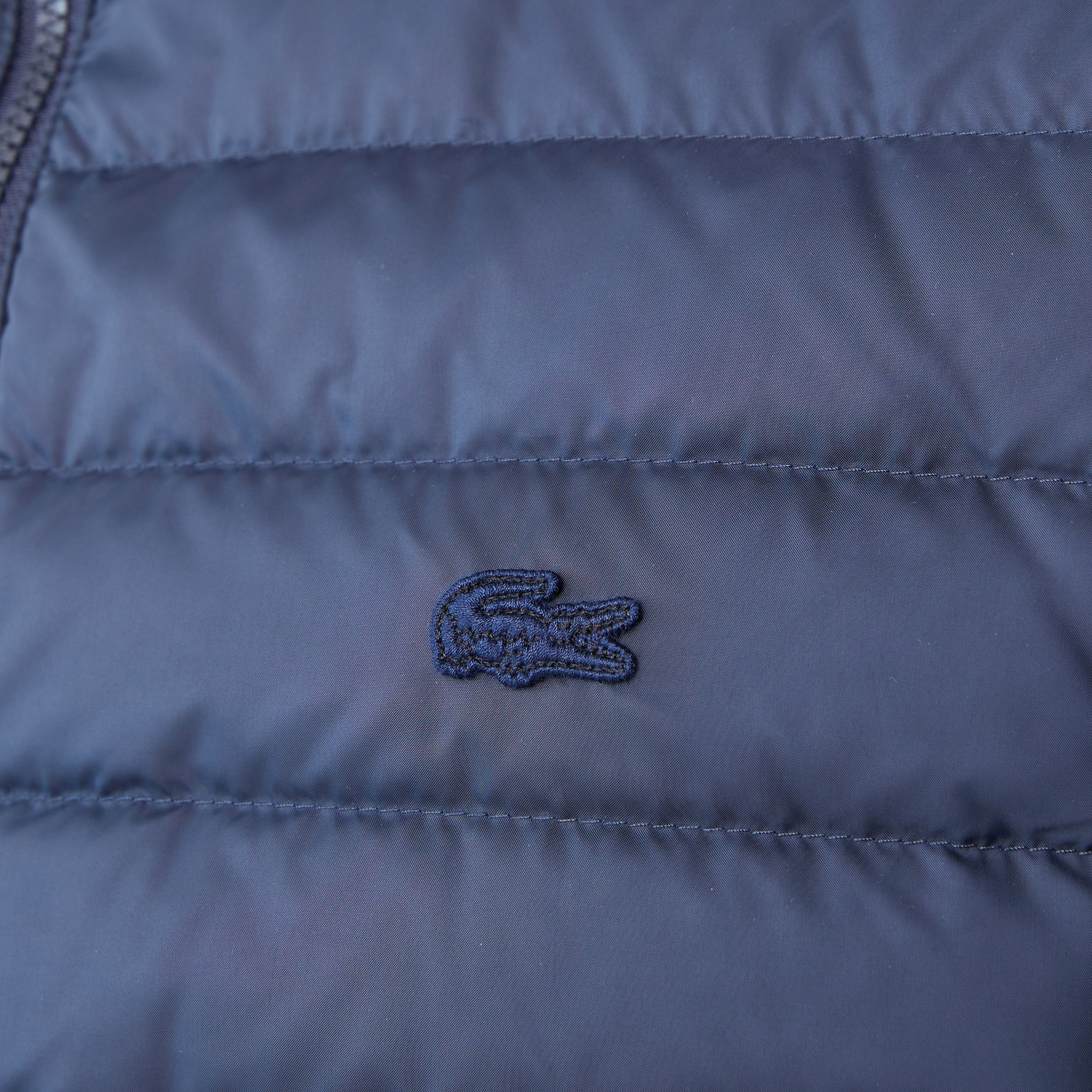 Erkek Kapüşonlu Lacivert Mont