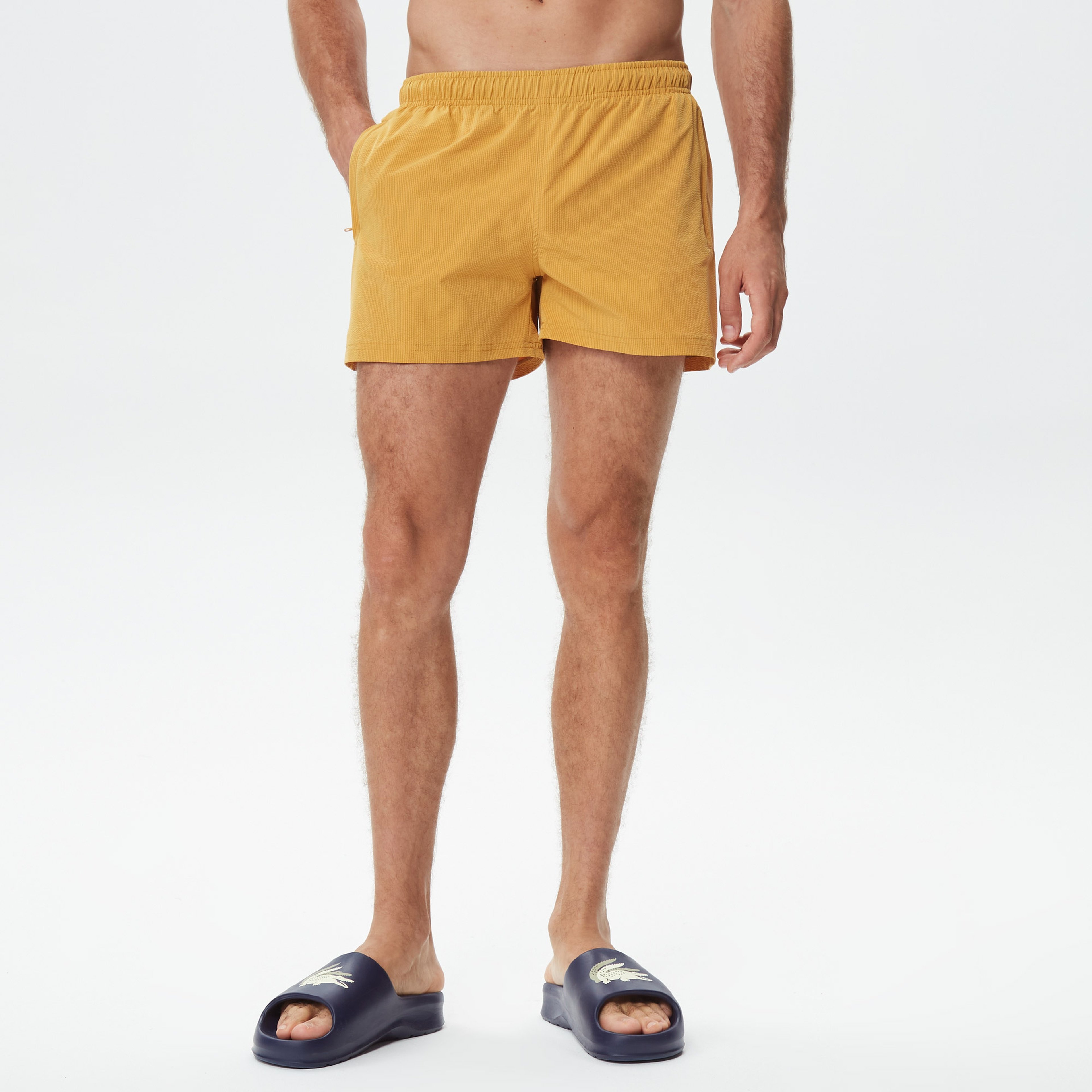 Erkek Regular Fit Çizgili Sarı Mayo Şort