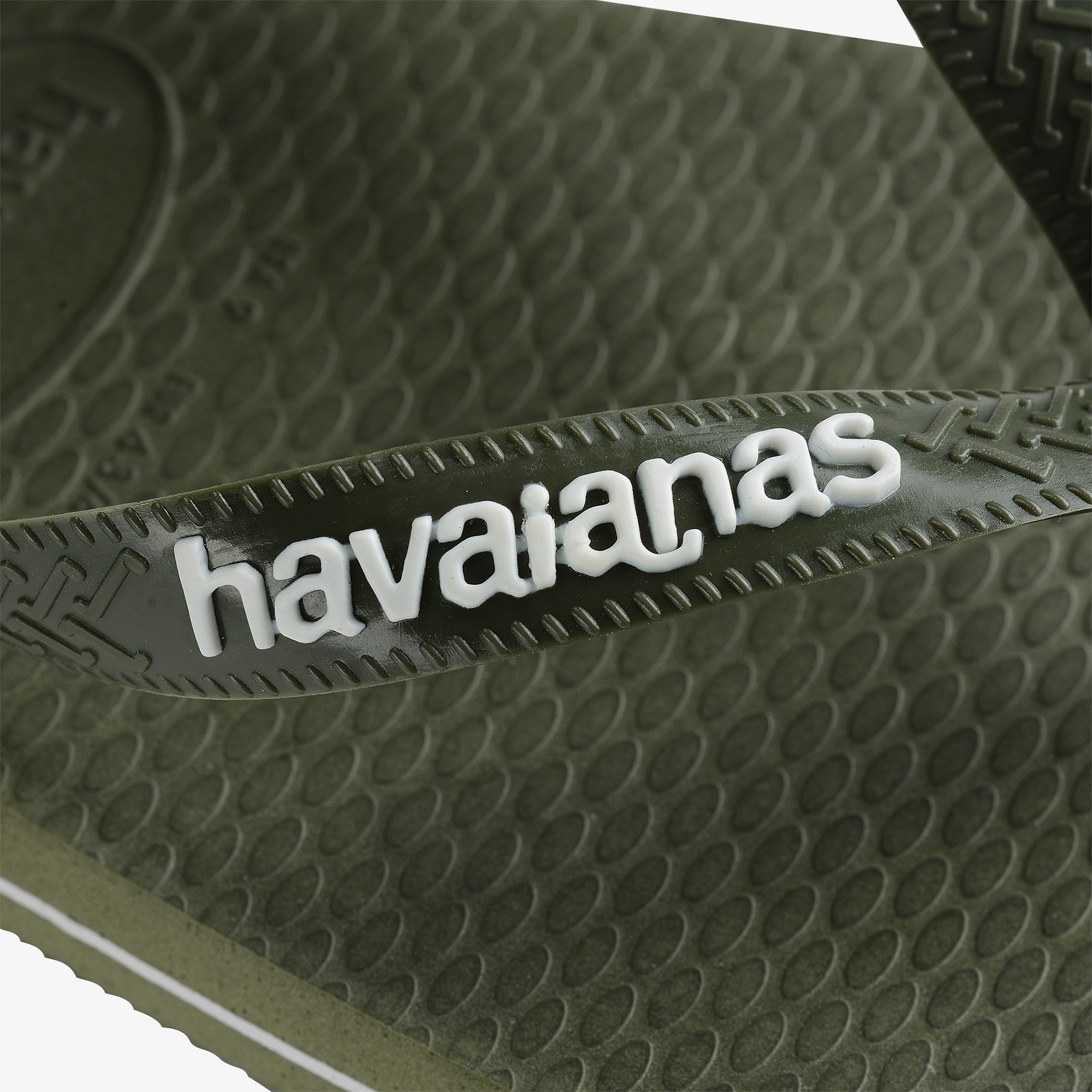 Havaianas Logo Filete Erkek Yeşil Terlik