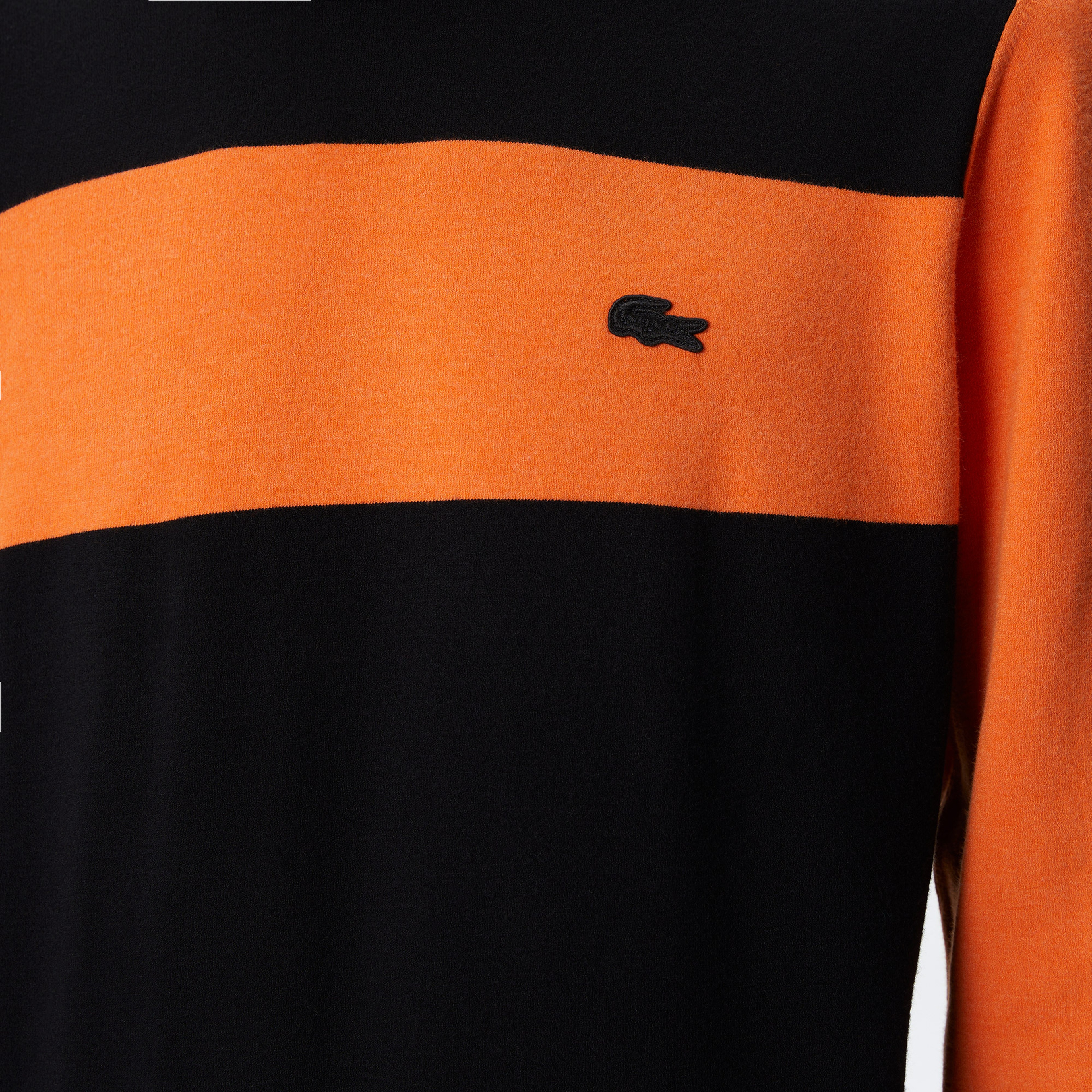 Erkek Regular Fit Uzun Kollu Bisiklet Yaka Renk Bloklu Siyah Triko