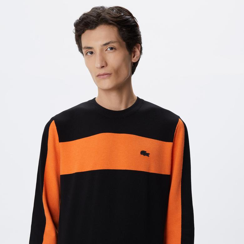 Erkek Regular Fit Uzun Kollu Bisiklet Yaka Renk Bloklu Siyah Triko