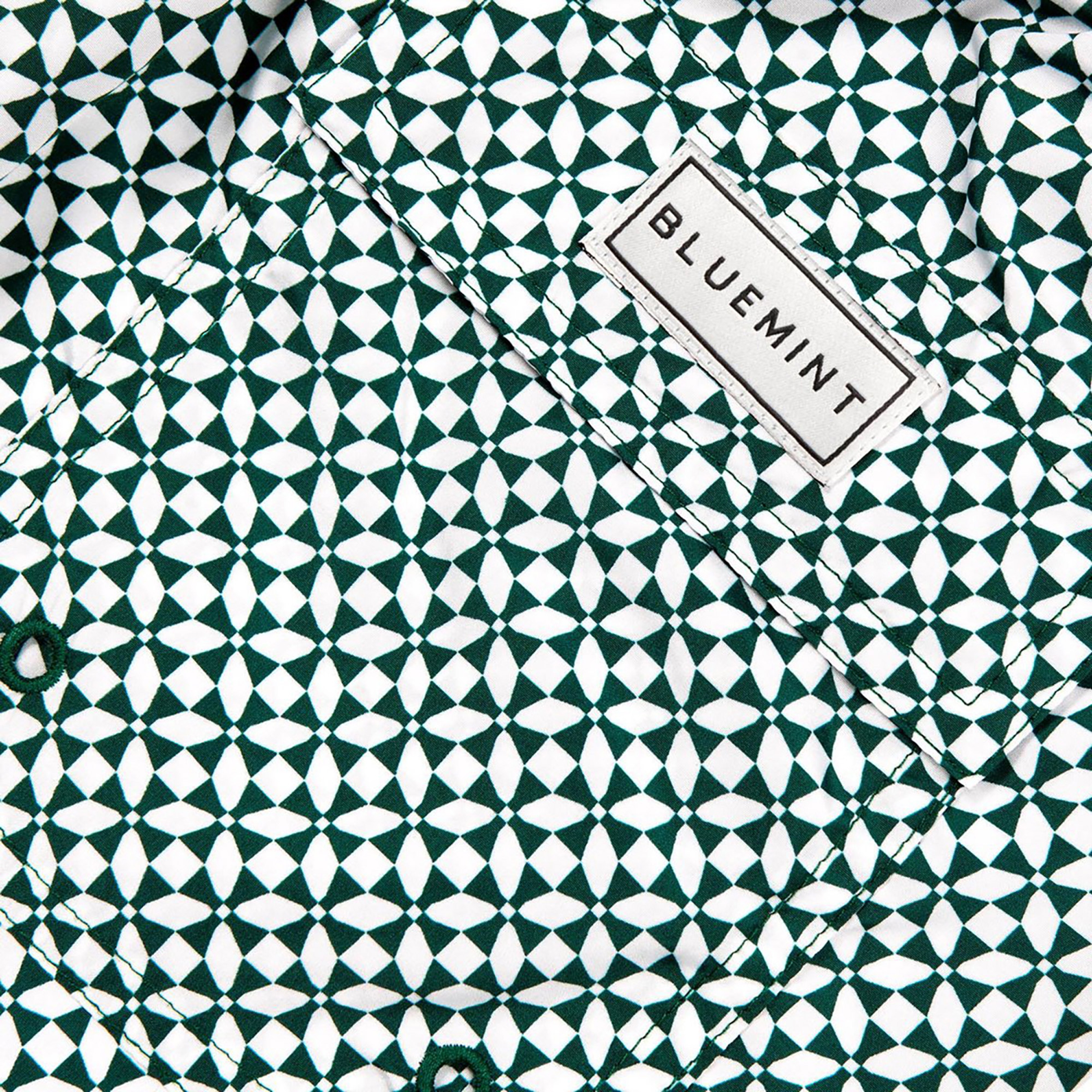 Bluemint Logan Erkek Komon Yeşil Mayo Şort