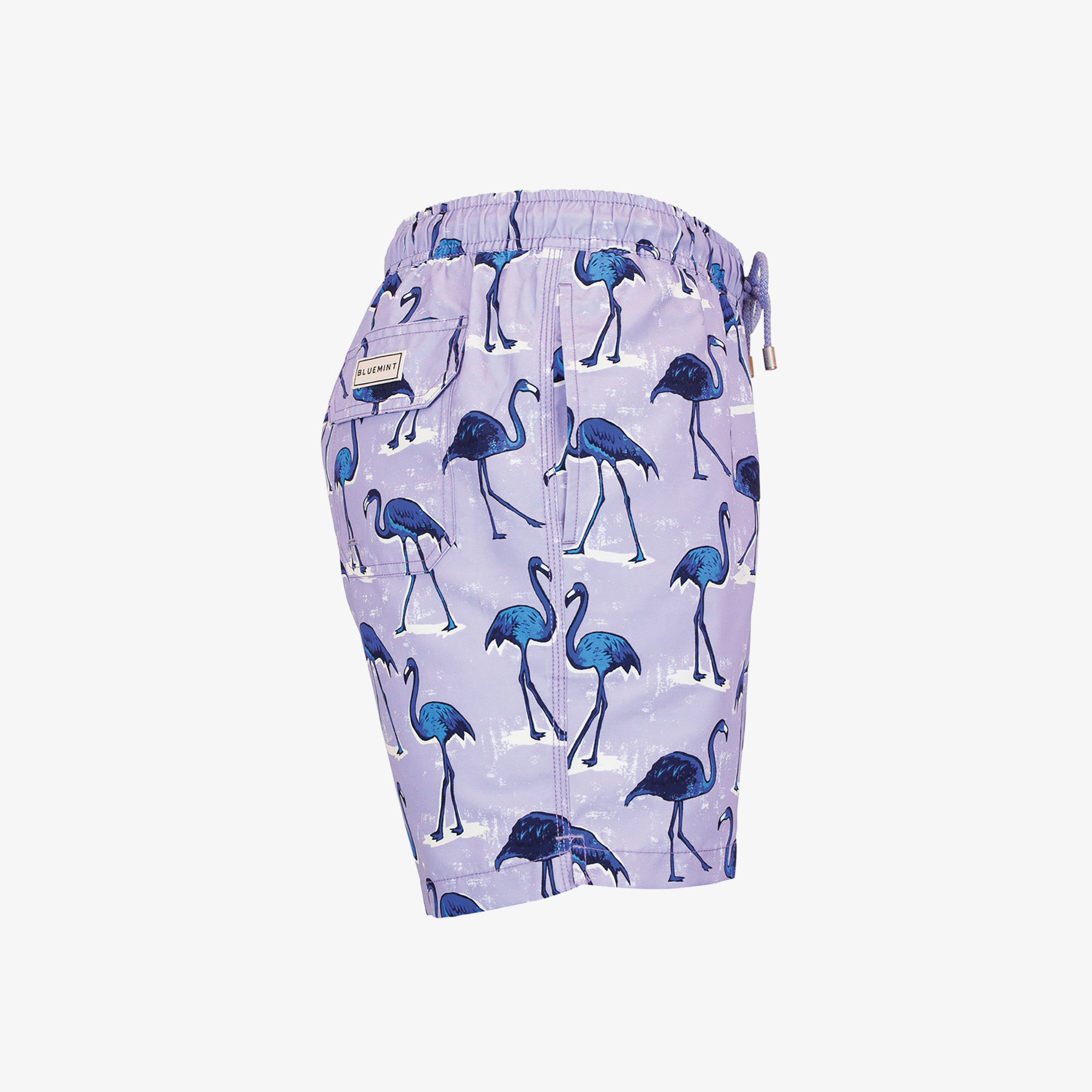 Bluemint Erkek Renkli Mayoşort