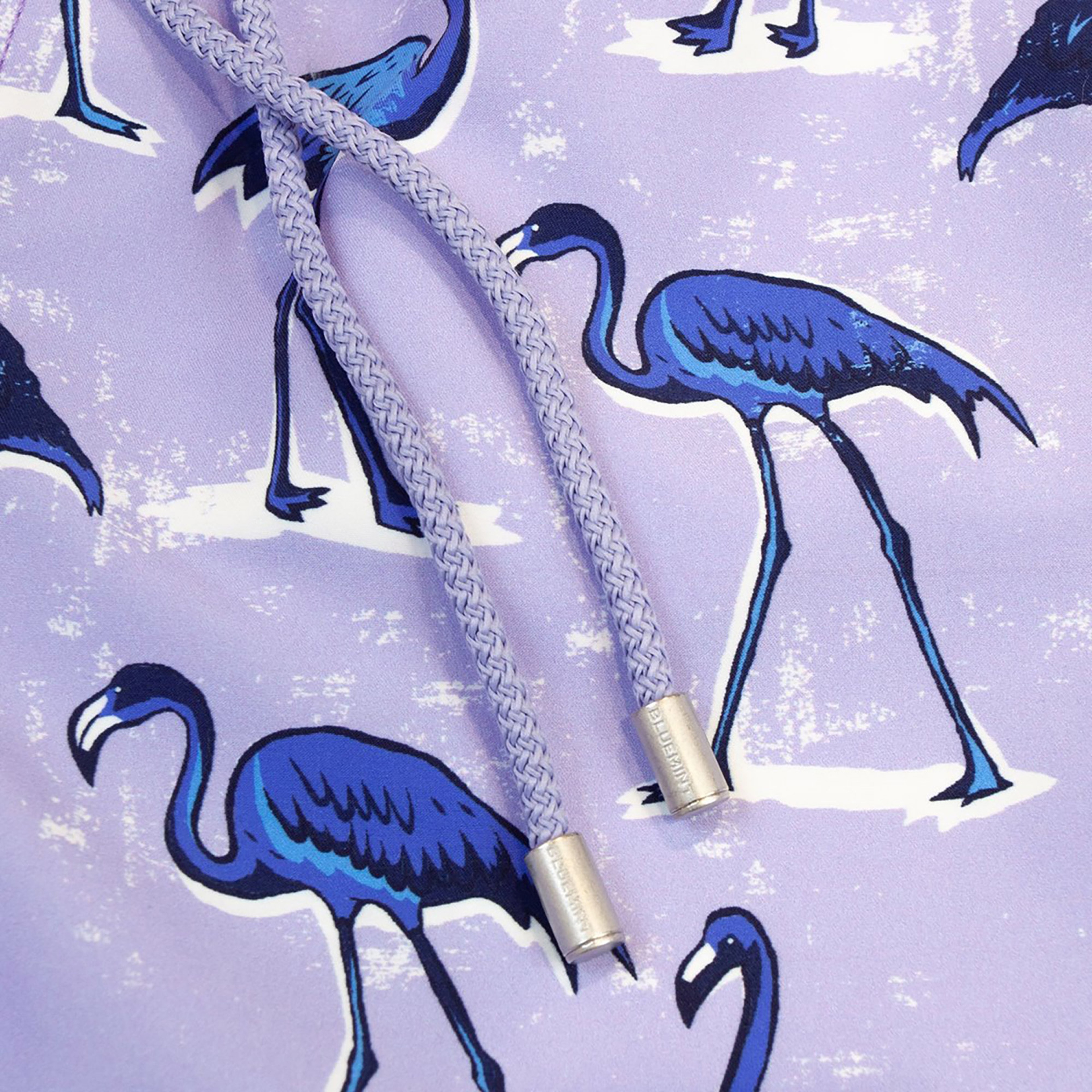 Bluemint Erkek Renkli Mayoşort