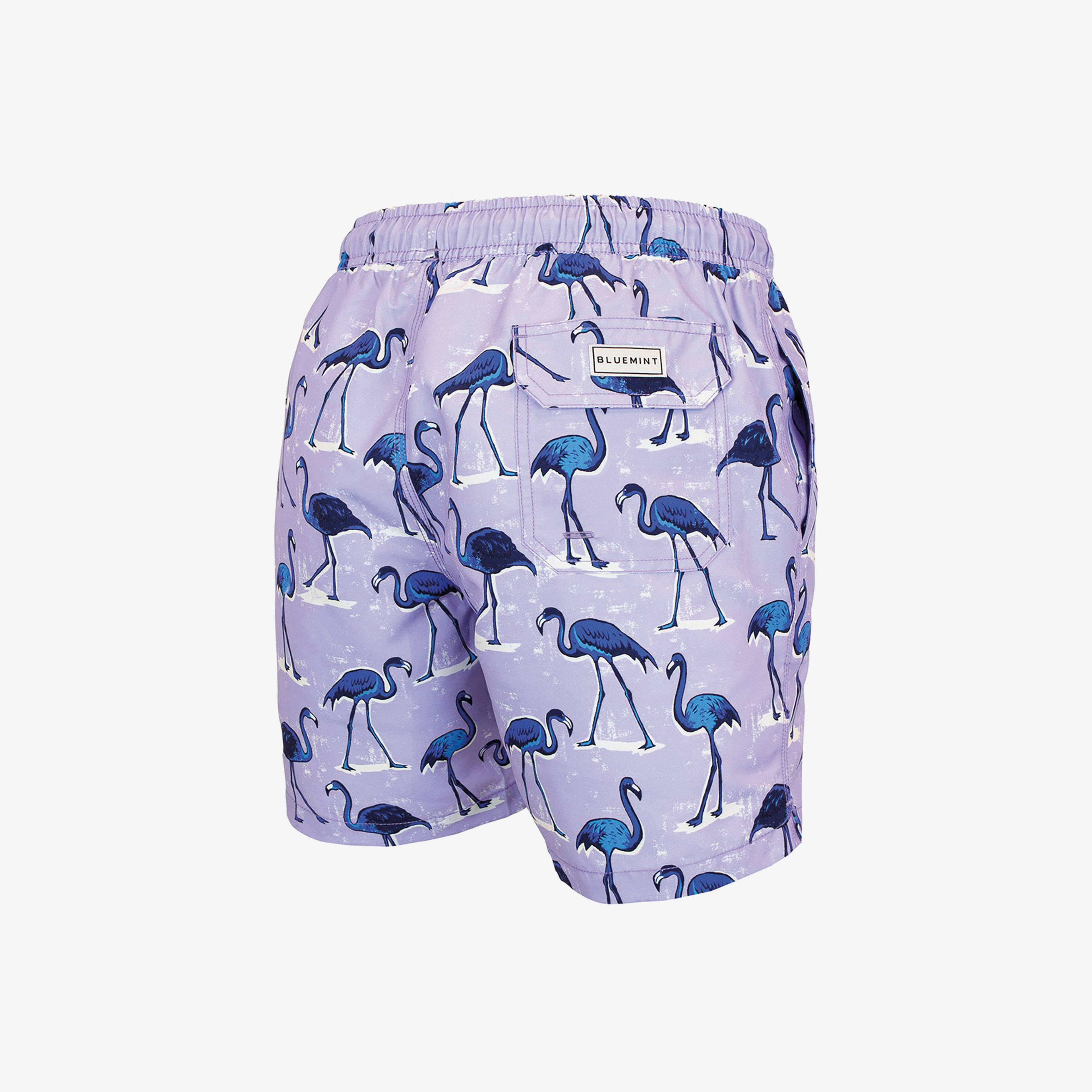 Bluemint Erkek Renkli Mayoşort