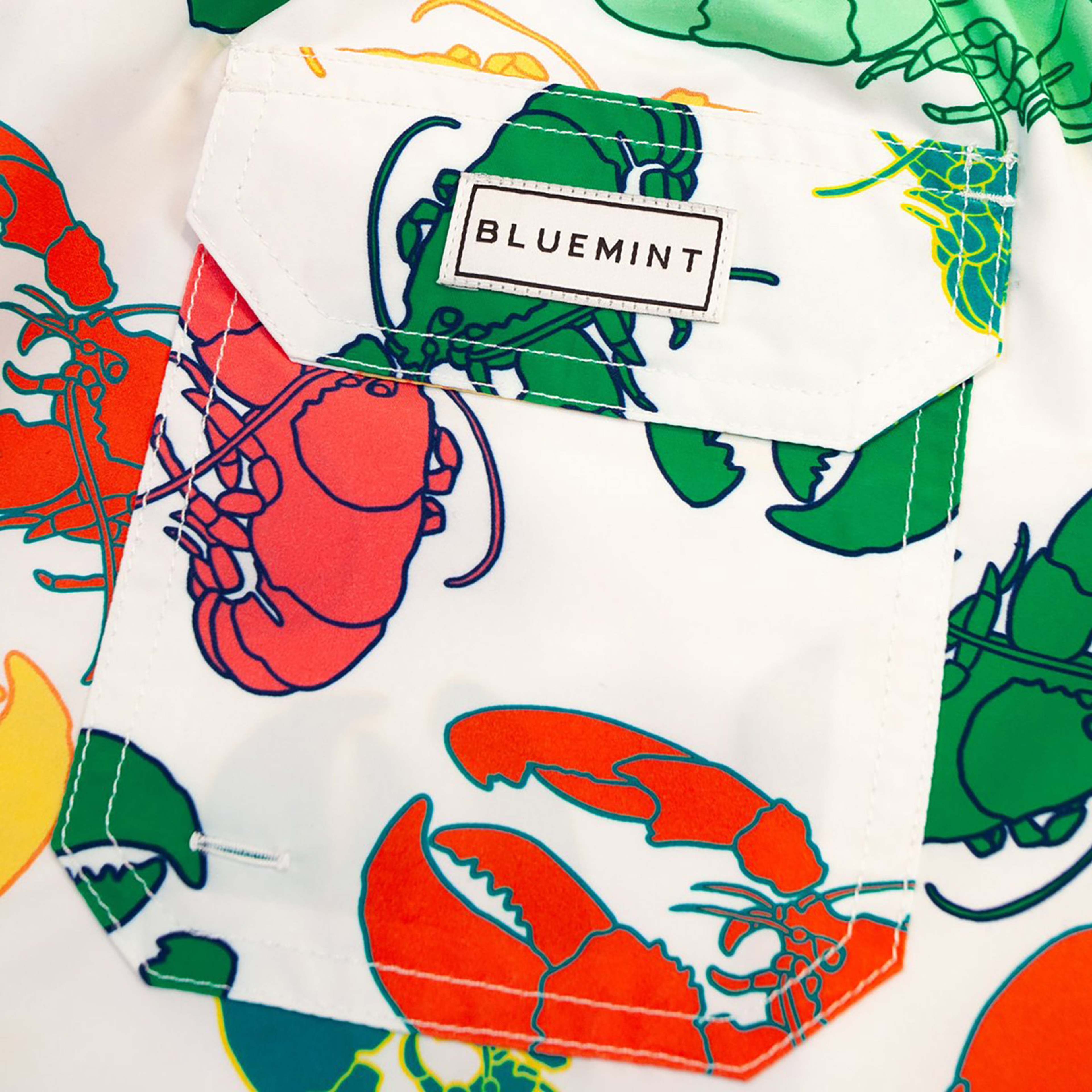 Bluemint Erkek Renkli Mayoşort