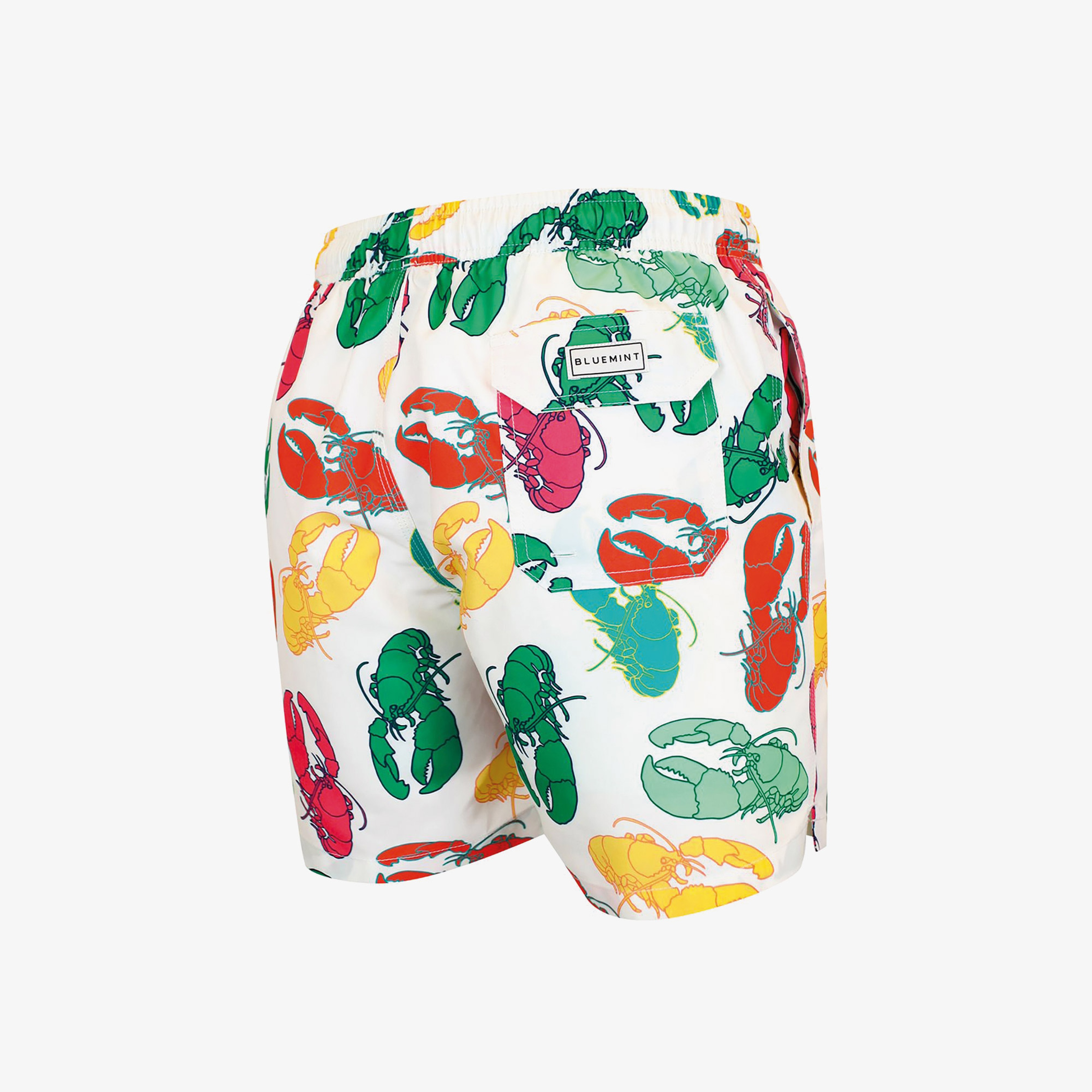 Bluemint Erkek Renkli Mayoşort