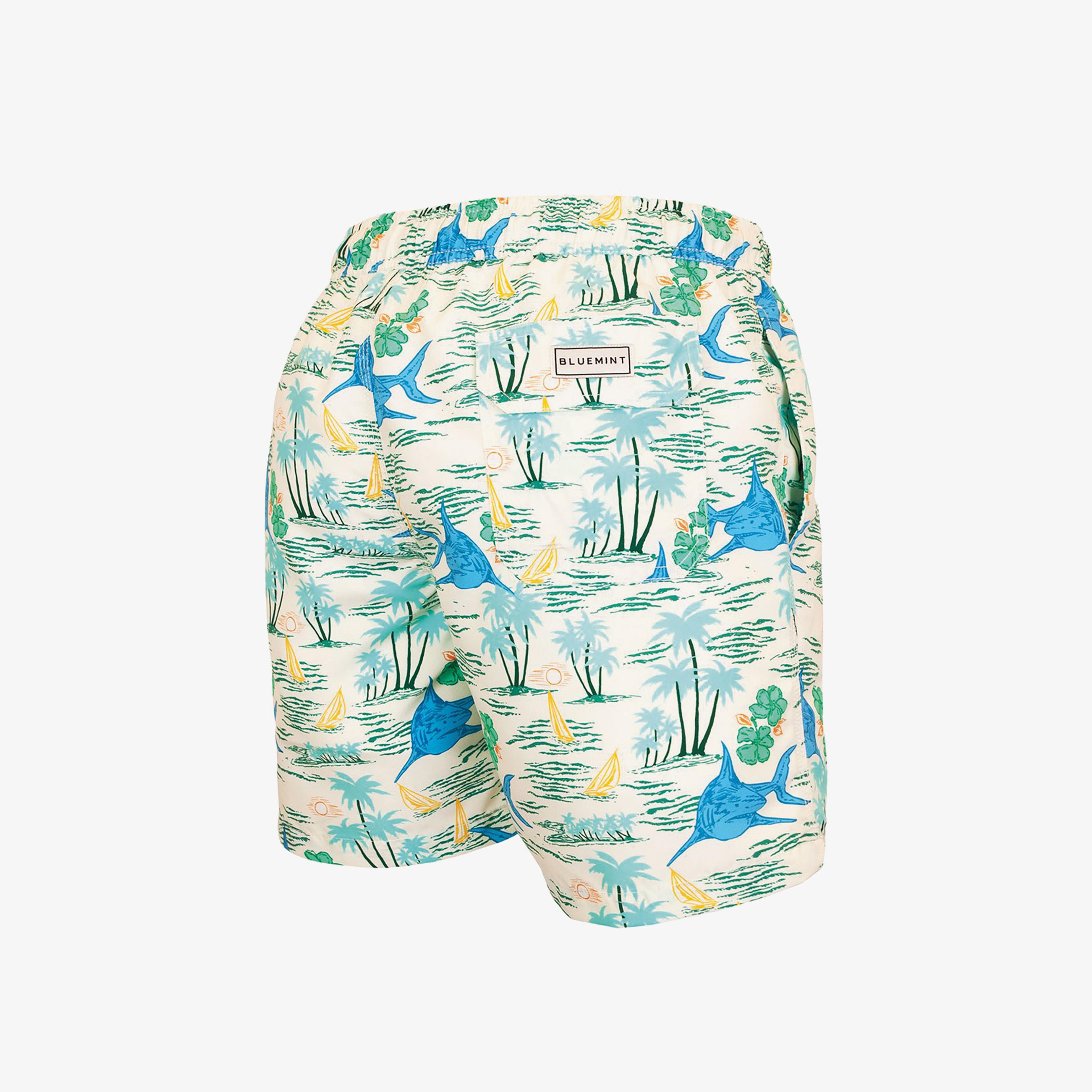 Bluemint Erkek Renkli Mayoşort