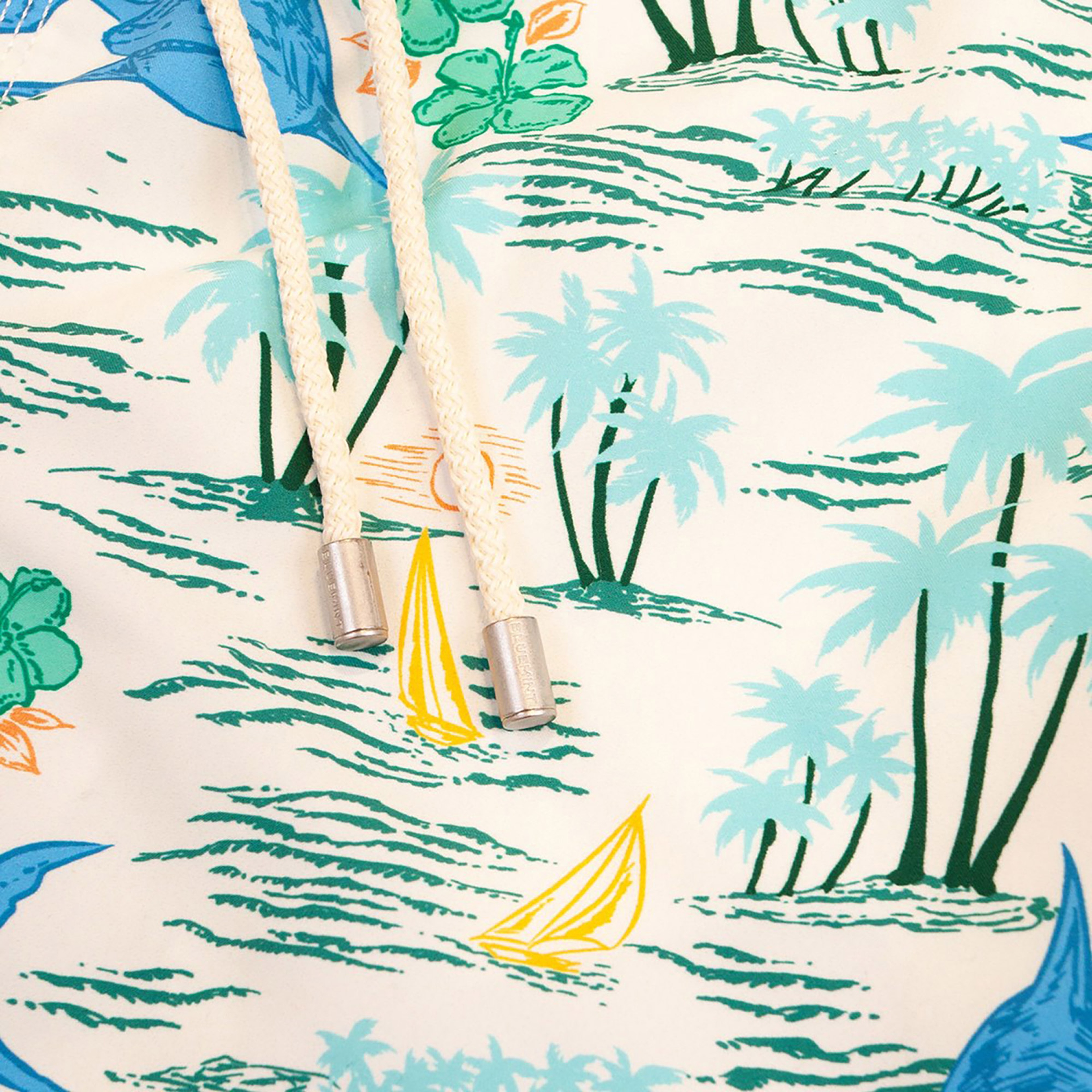 Bluemint Erkek Renkli Mayoşort