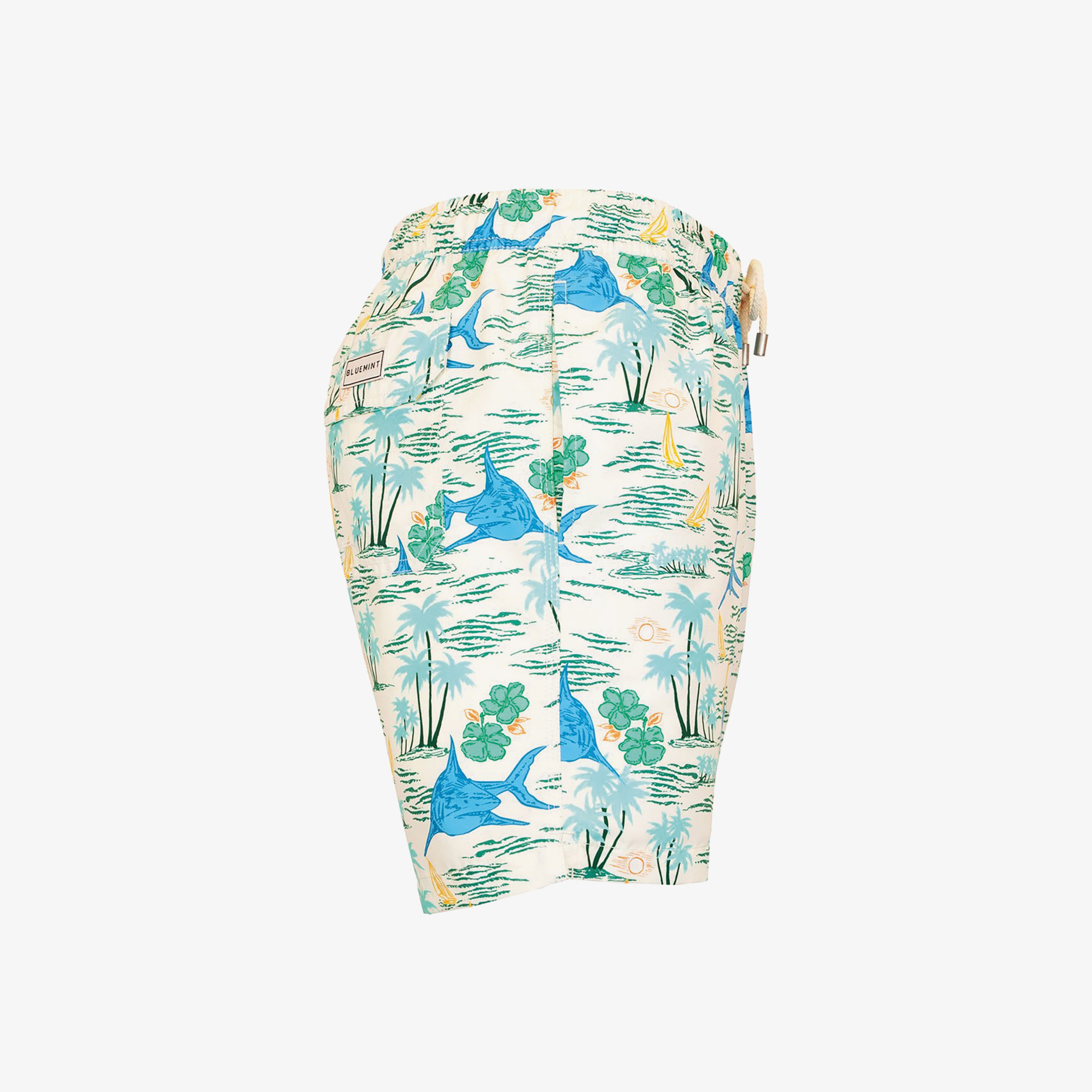 Bluemint Erkek Renkli Mayoşort